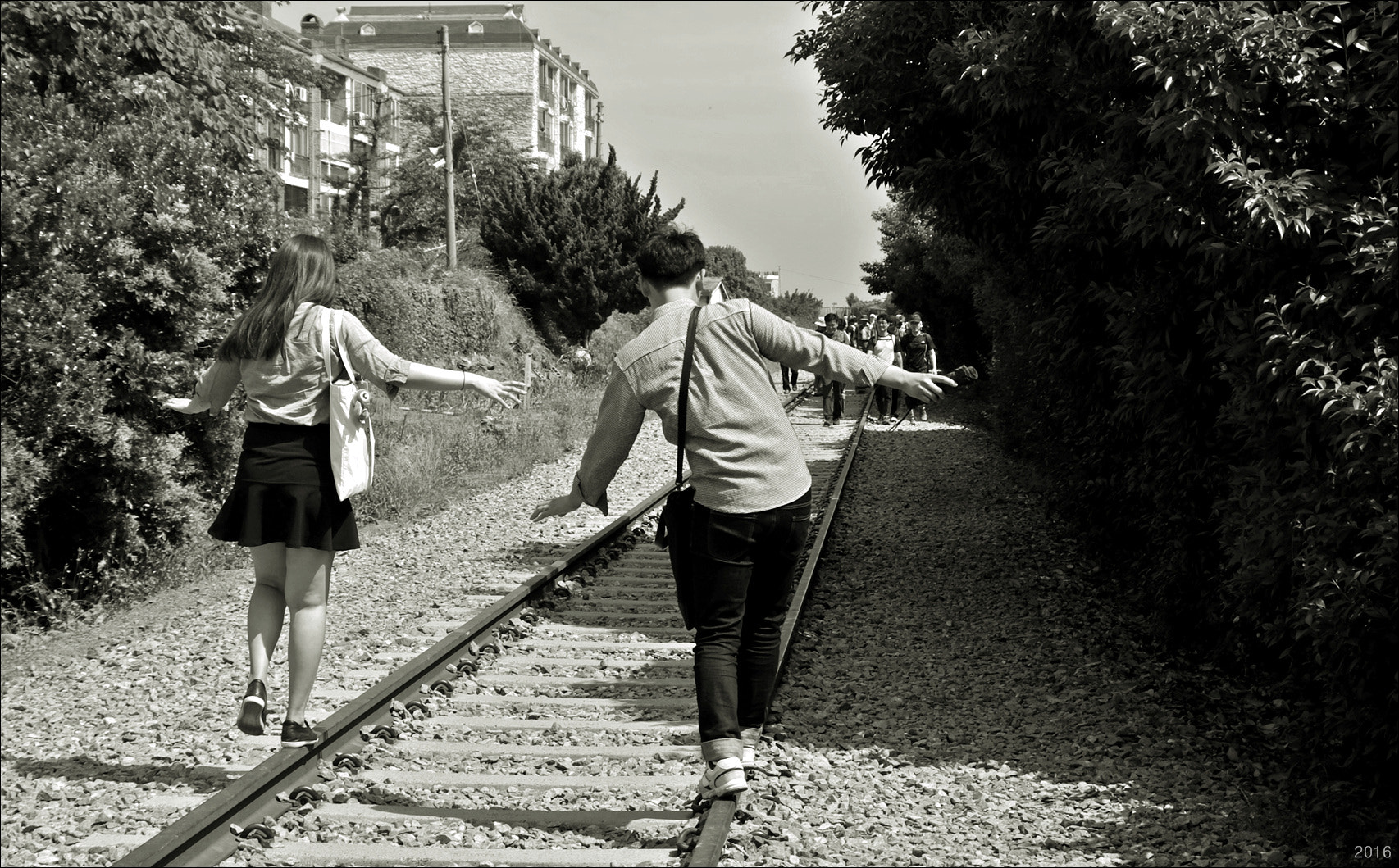 PENTAX-F 28-80mm F3.5-4.5 sample photo. Here we are lovebirds photography