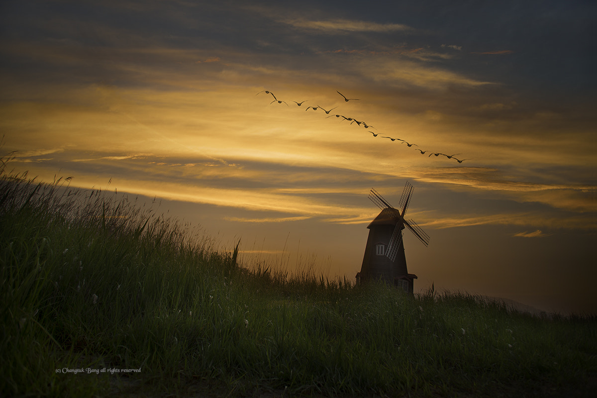 Canon EF 17-35mm f/2.8L sample photo. A beautiful day ~ photography