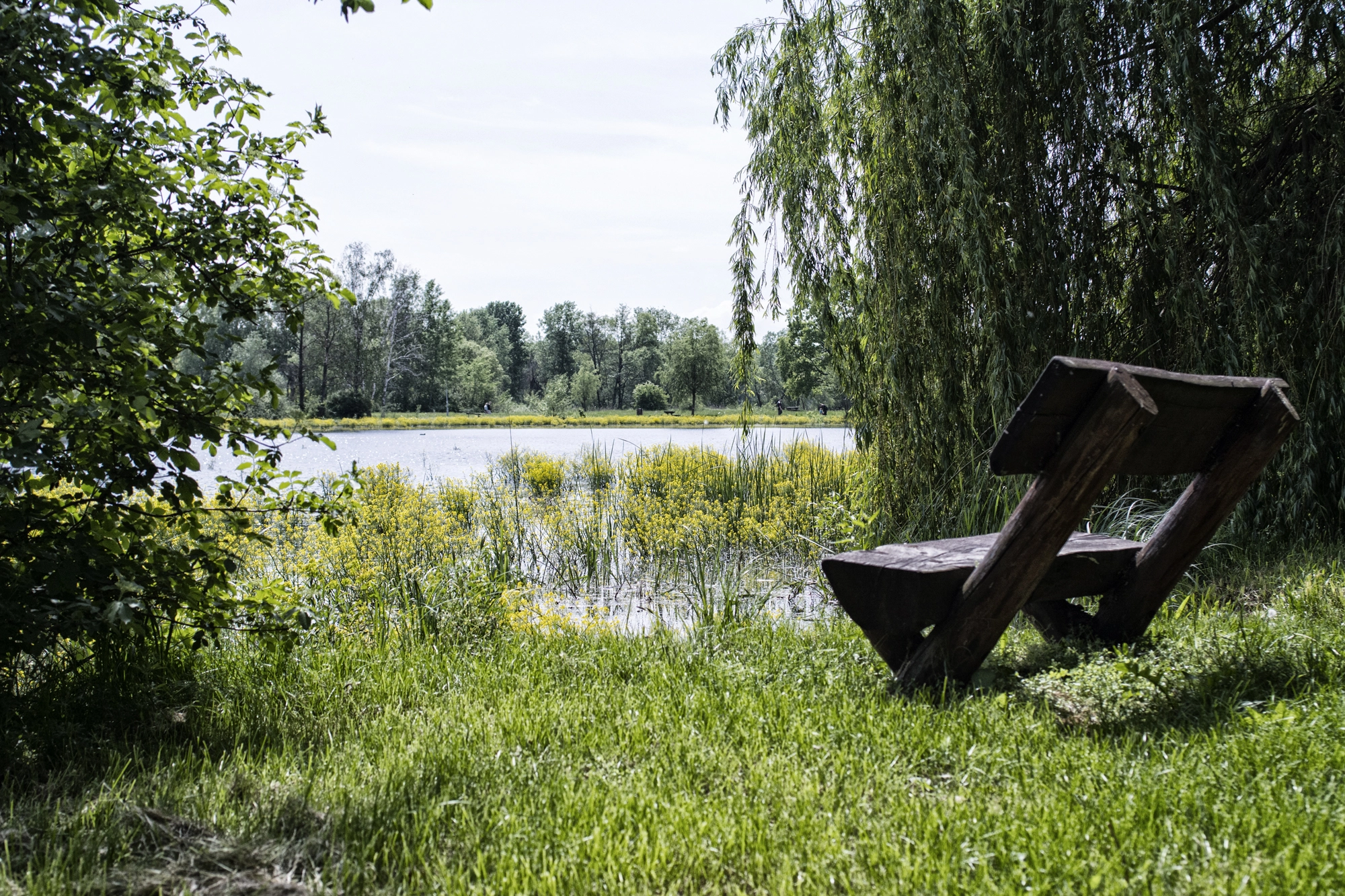 Nikon D7100 + AF Zoom-Nikkor 35-70mm f/2.8 sample photo. Bench photography