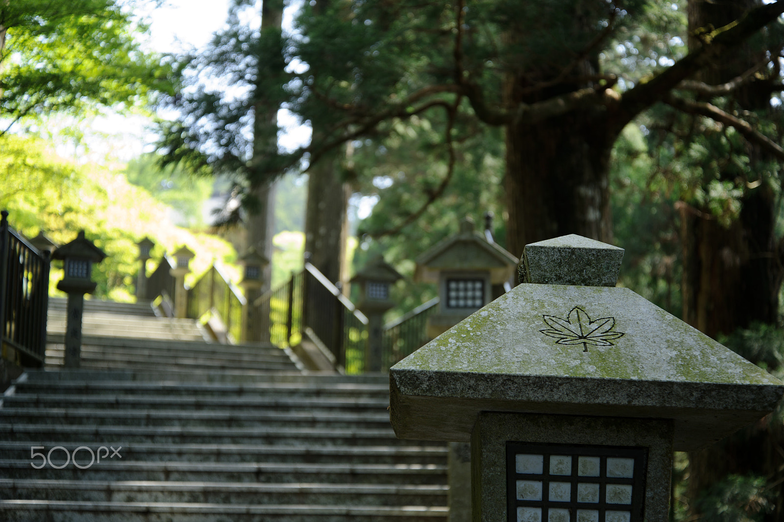 Nikon D3S sample photo. Stone lantern photography