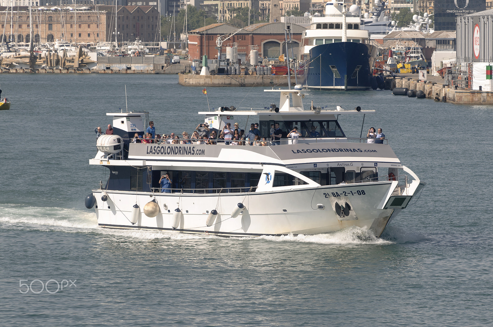 AF Zoom-Nikkor 80-200mm f/2.8 ED sample photo. Lasgolondrinas photography