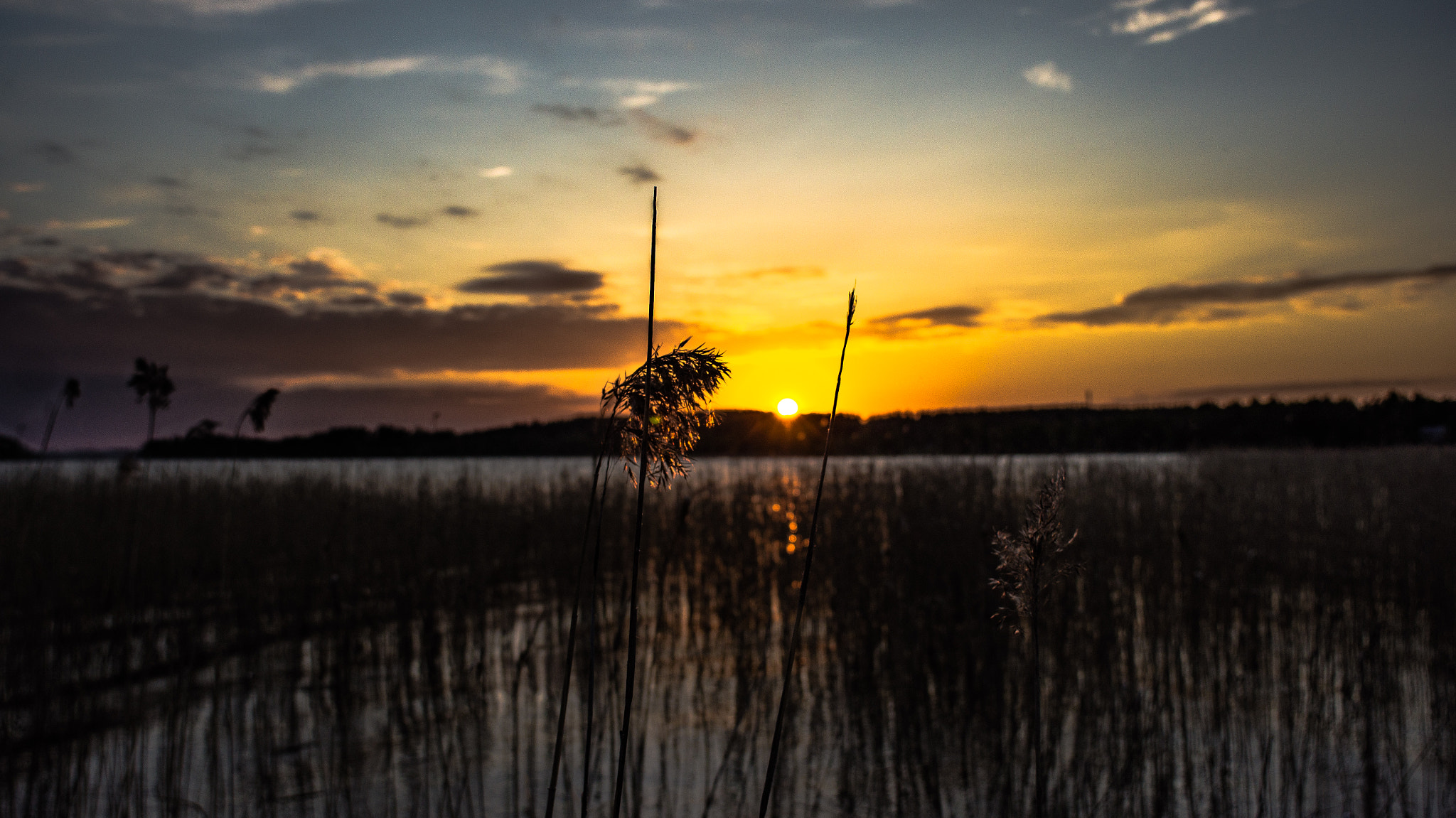 Sony SLT-A55 (SLT-A55V) + Sony 20mm F2.8 sample photo. Sunset in a land of a midnight sun photography