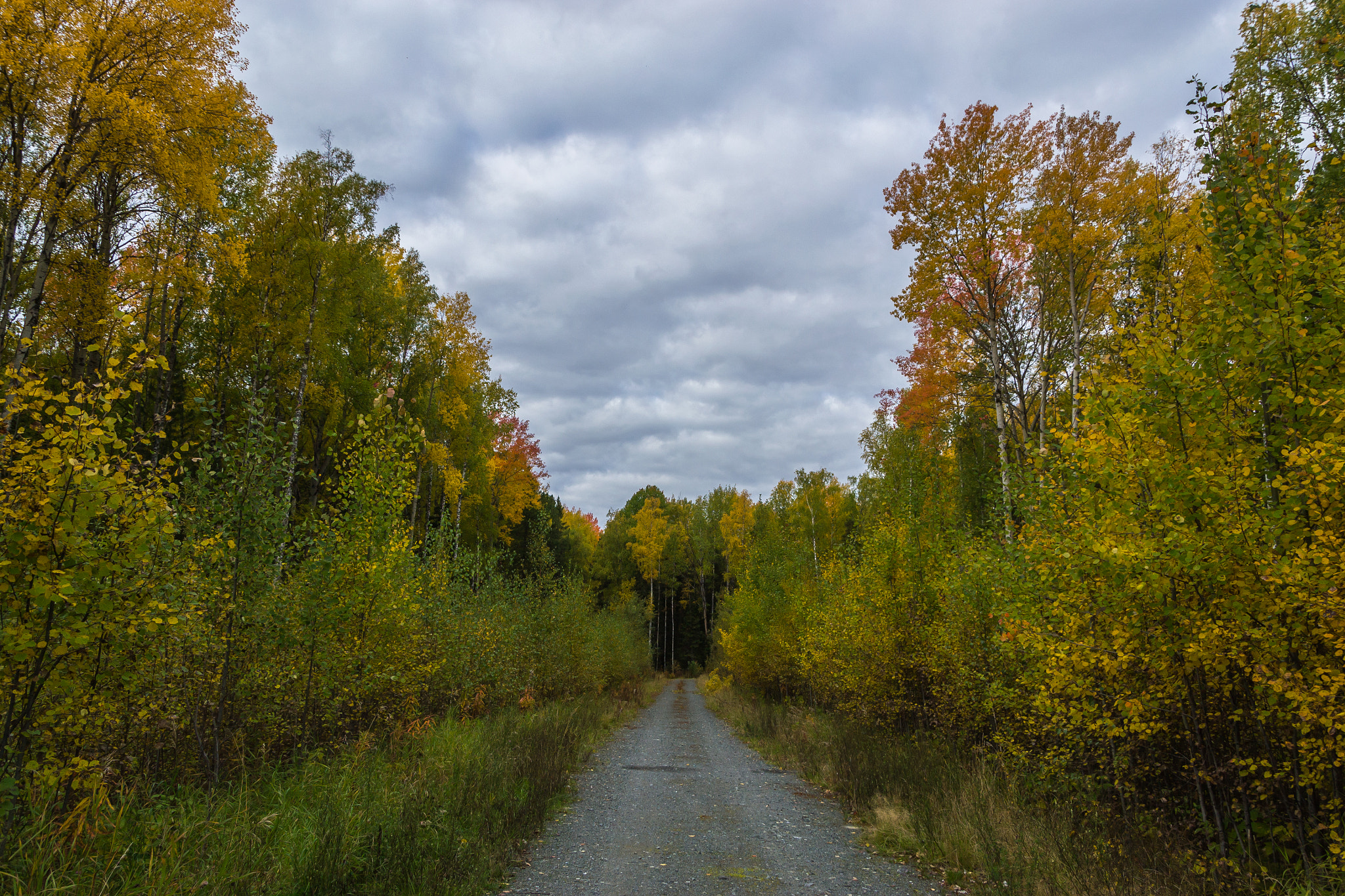 Дорога в тупик