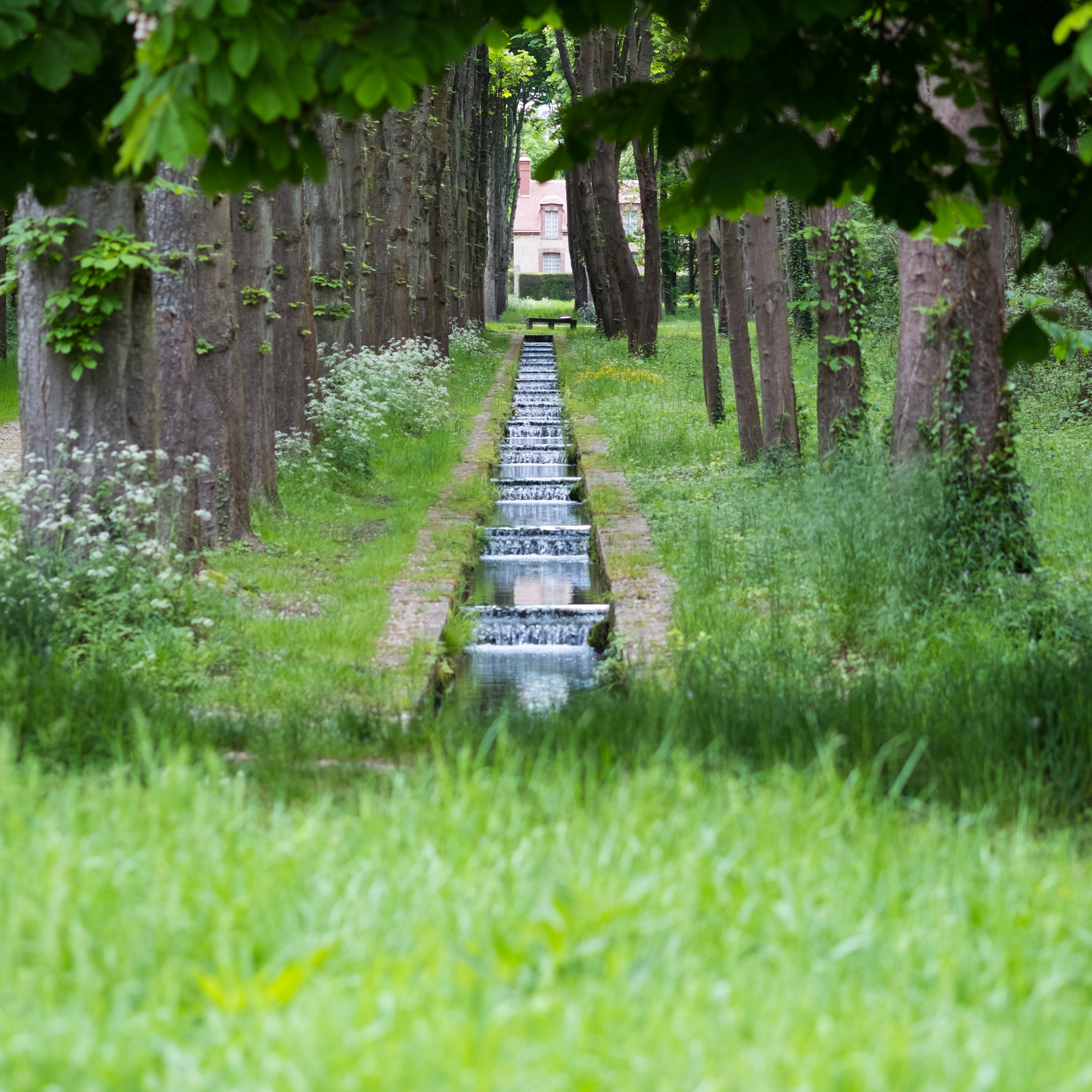 Fujifilm X-Pro2 + Fujifilm XF 60mm F2.4 R Macro sample photo. Stairs canal photography