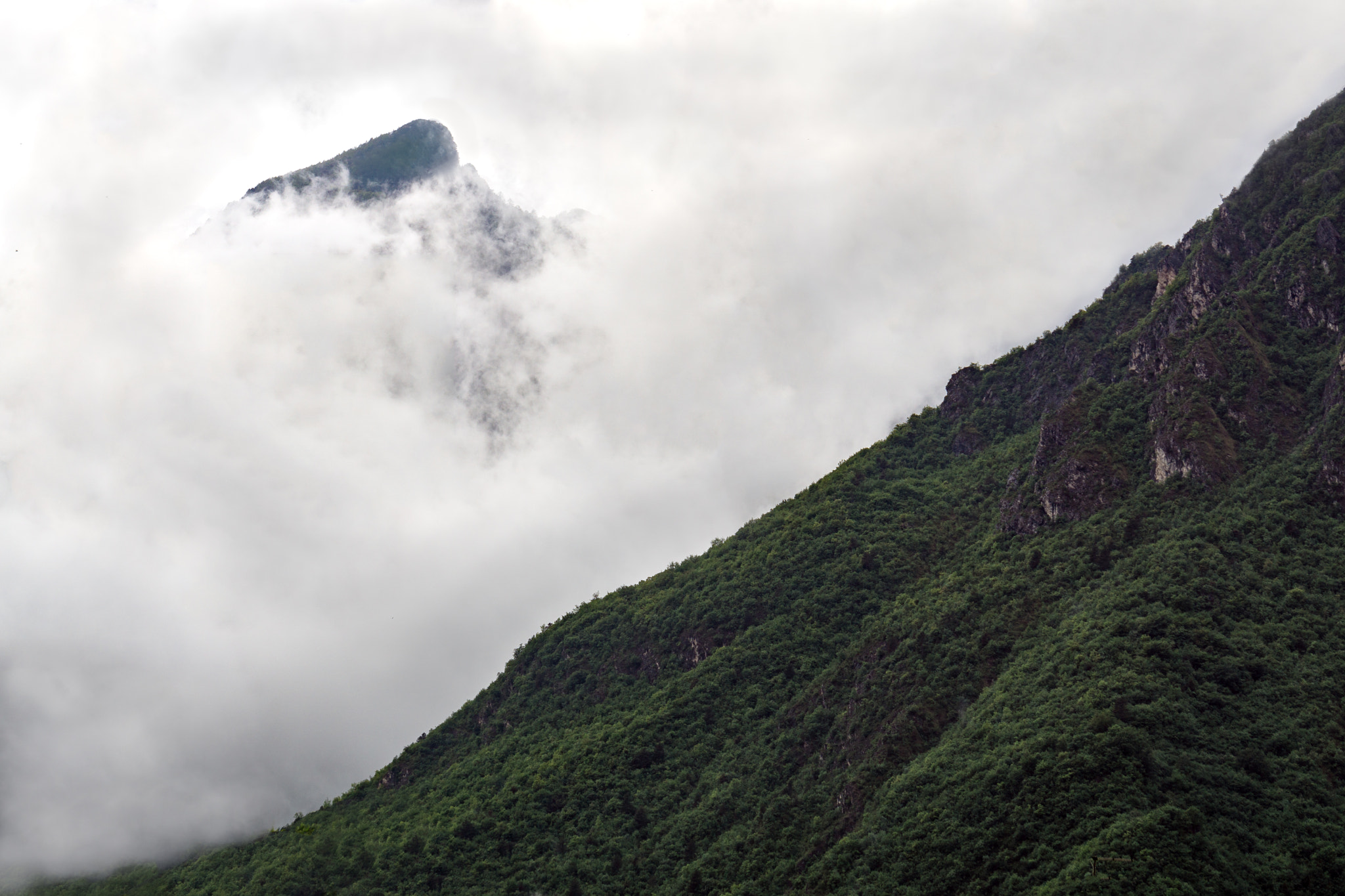 v2?sig=13af70127623c600659553ef1a3f2cd60397632628838cca9eccd75767524ac1