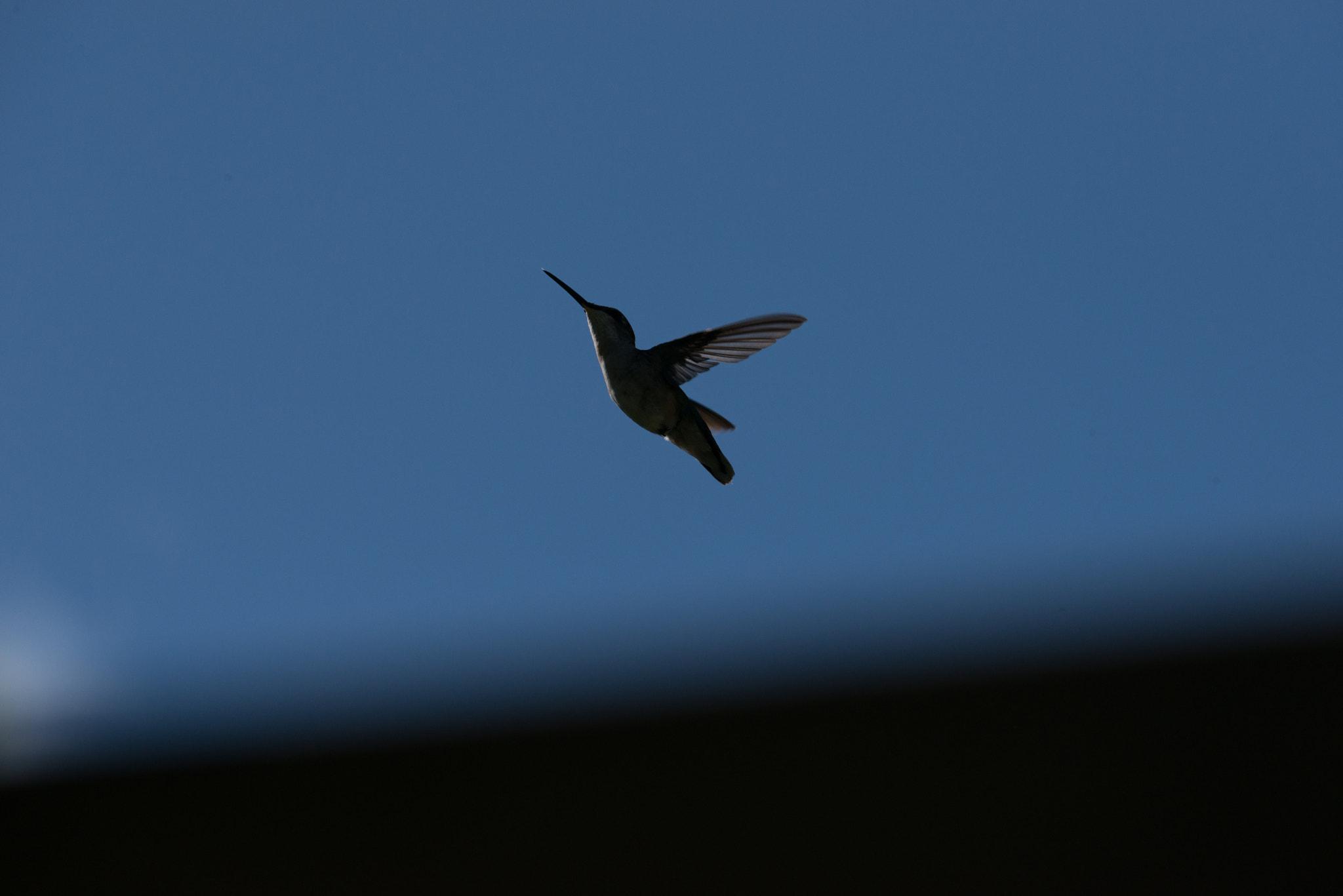 Nikon AF-S Nikkor 200-400mm F4G ED-IF VR sample photo. Hummingbird photography