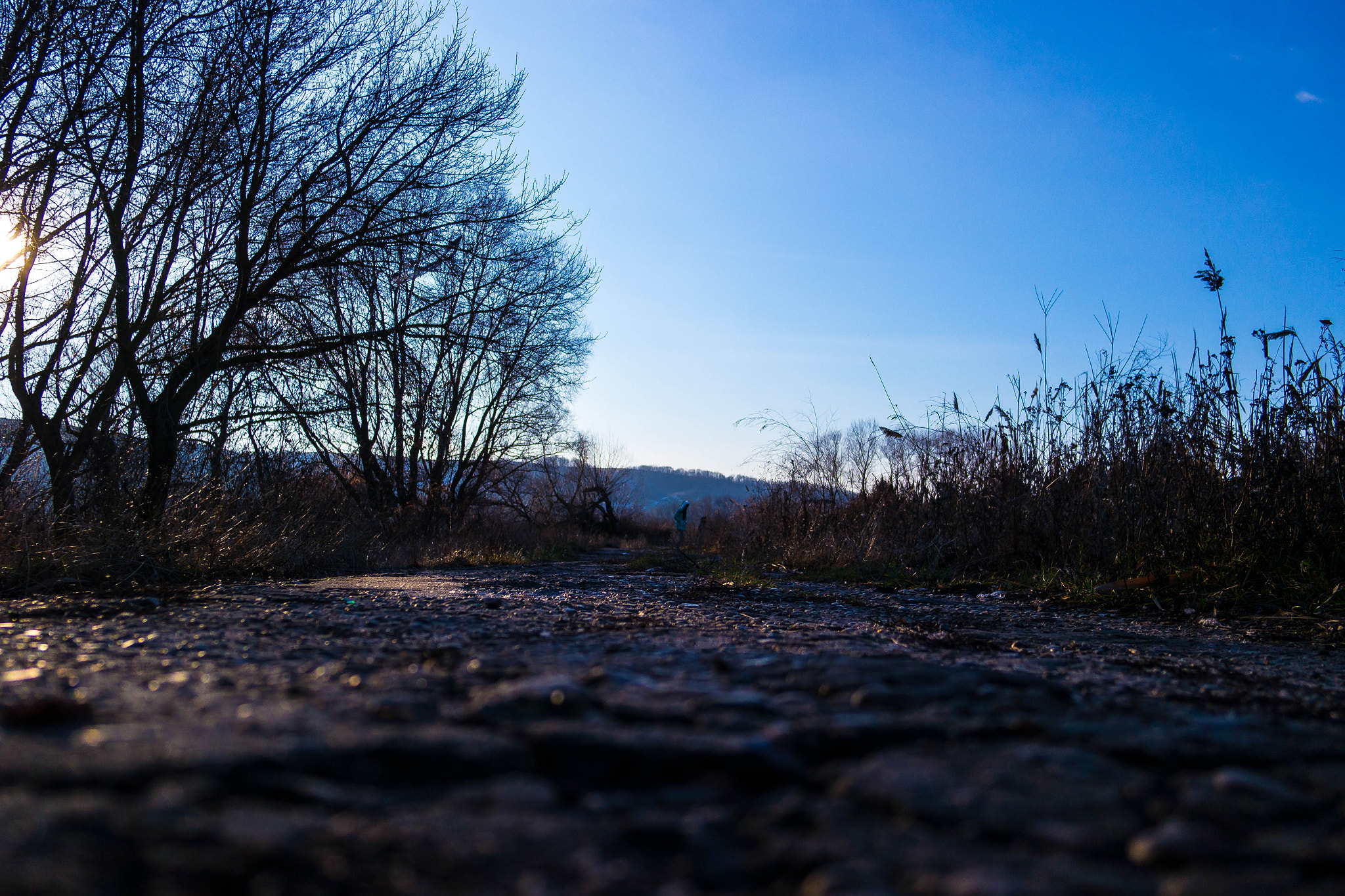 Samsung NX 20-50mm F3.5-5.6 ED sample photo. Sam_3289.jpg photography