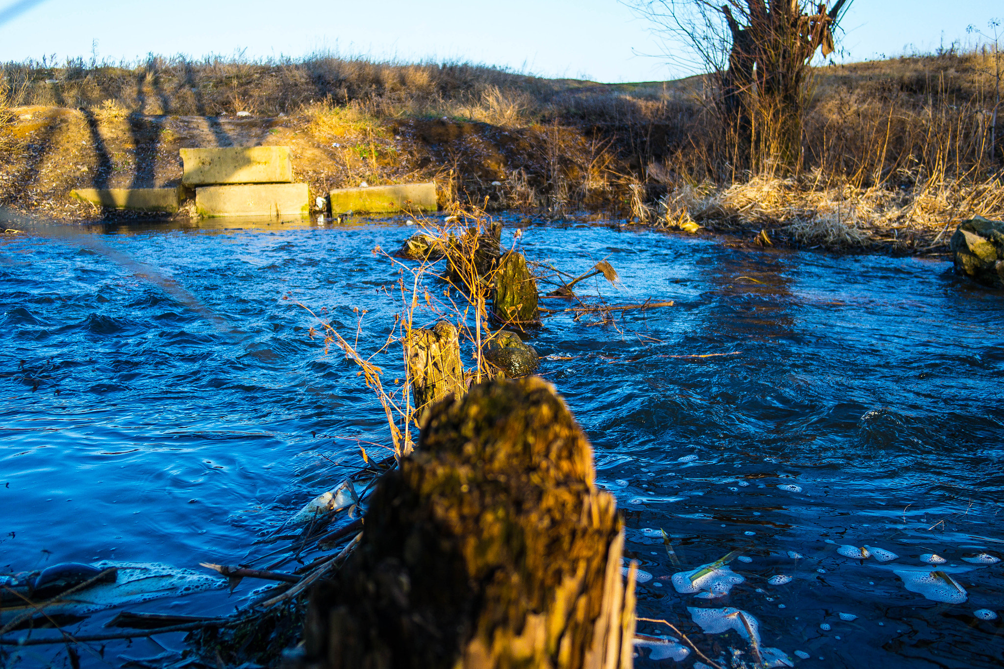 Samsung NX 20-50mm F3.5-5.6 ED sample photo. Sam_3294.jpg photography