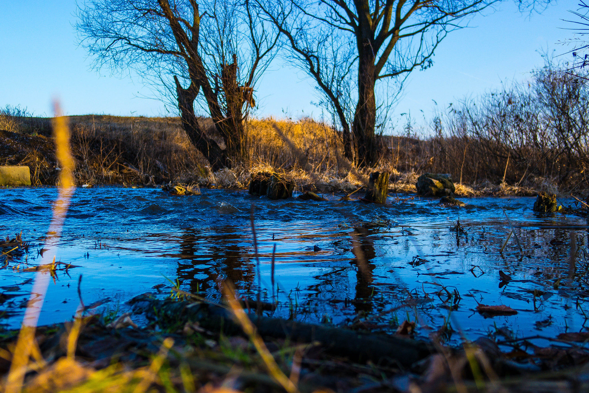 Samsung NX2000 sample photo. Sam_3291.jpg photography
