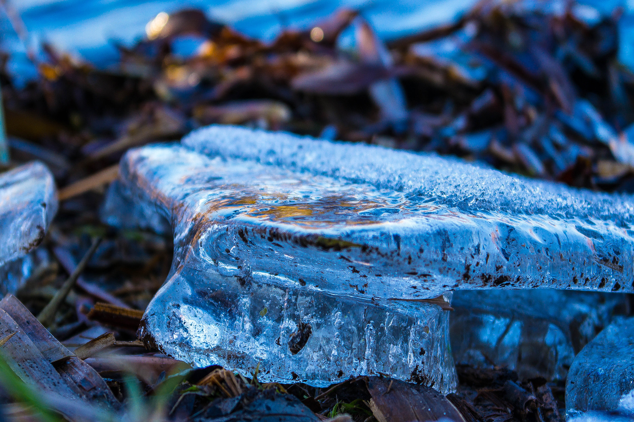 Samsung NX 20-50mm F3.5-5.6 ED sample photo. Sam_3313.jpg photography