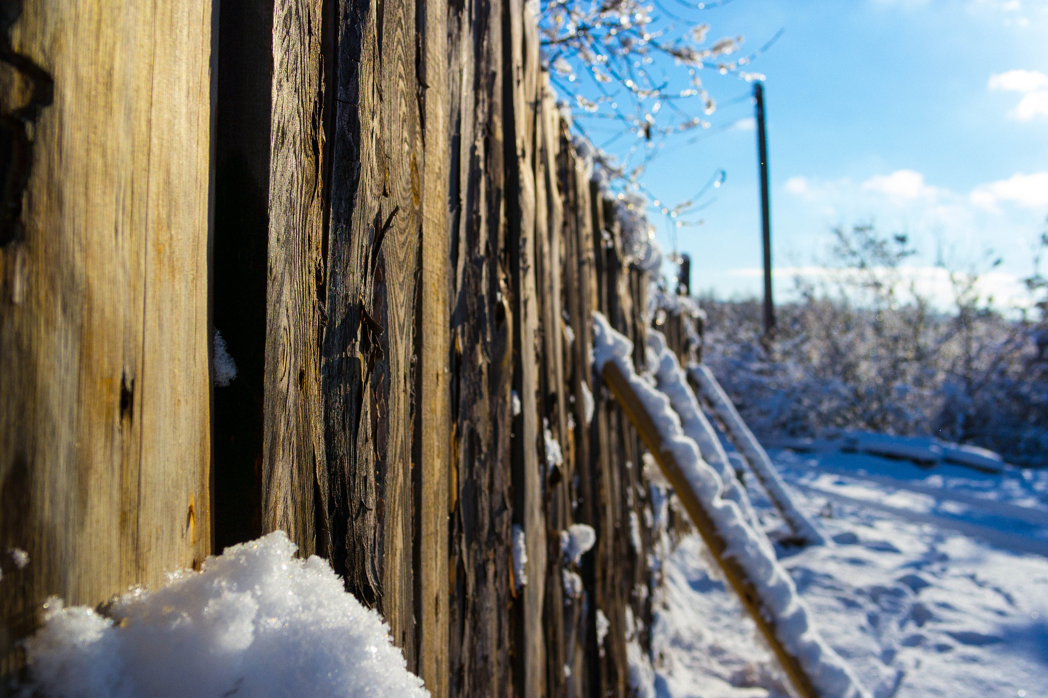 Samsung NX 20-50mm F3.5-5.6 ED sample photo. Sam_3504.jpg photography