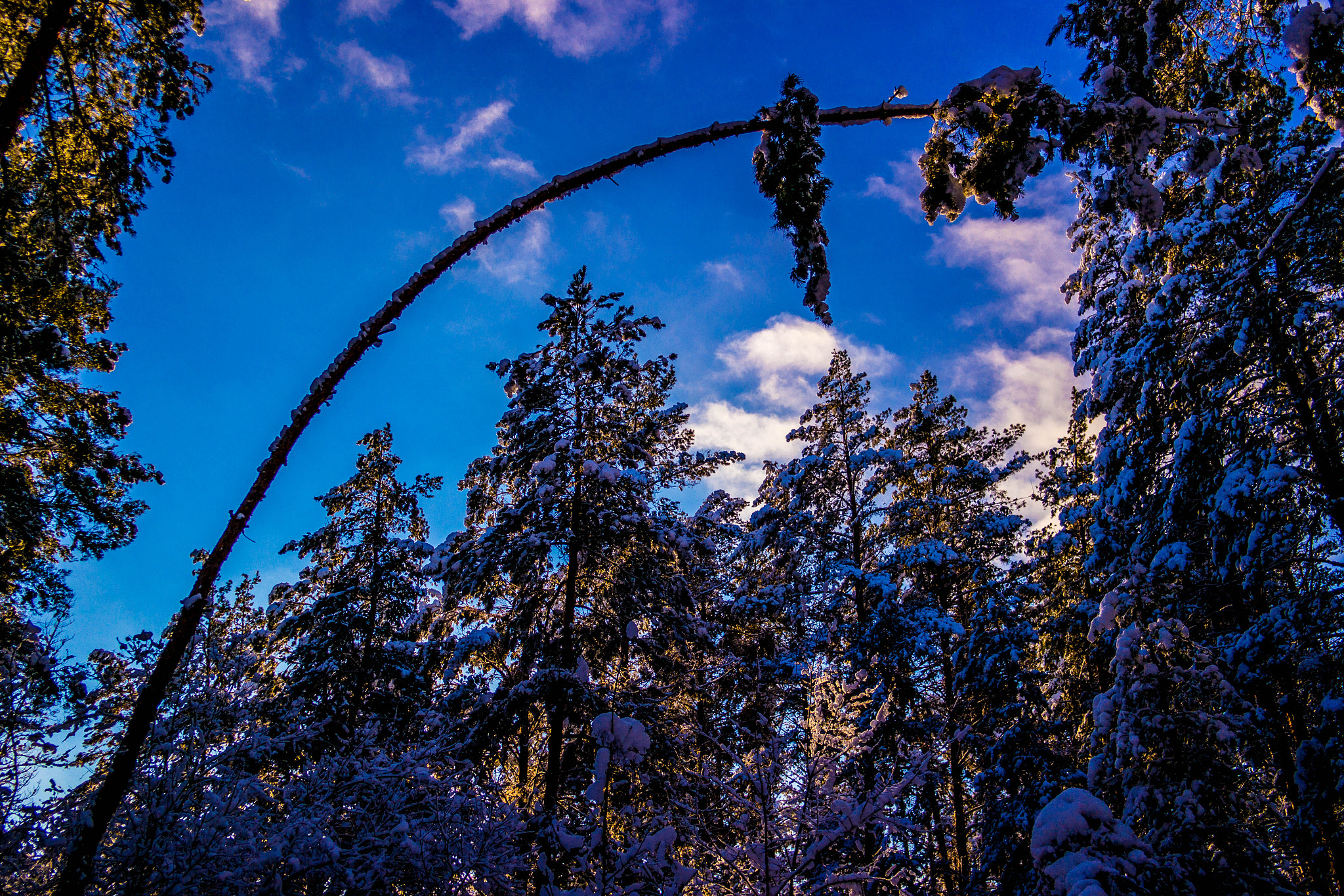 Samsung NX 20-50mm F3.5-5.6 ED sample photo. Sam_3564.jpg photography