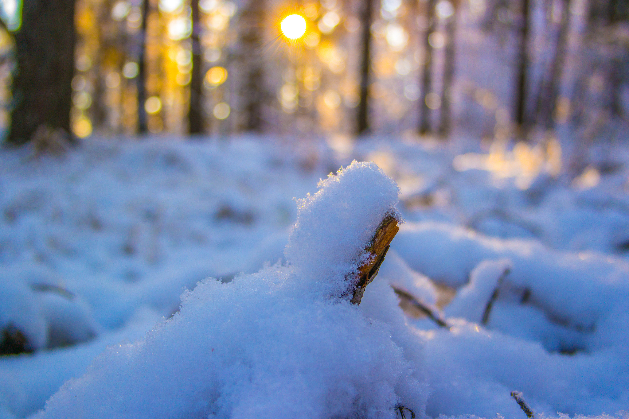 Samsung NX 20-50mm F3.5-5.6 ED sample photo. Sam_3554.jpg photography