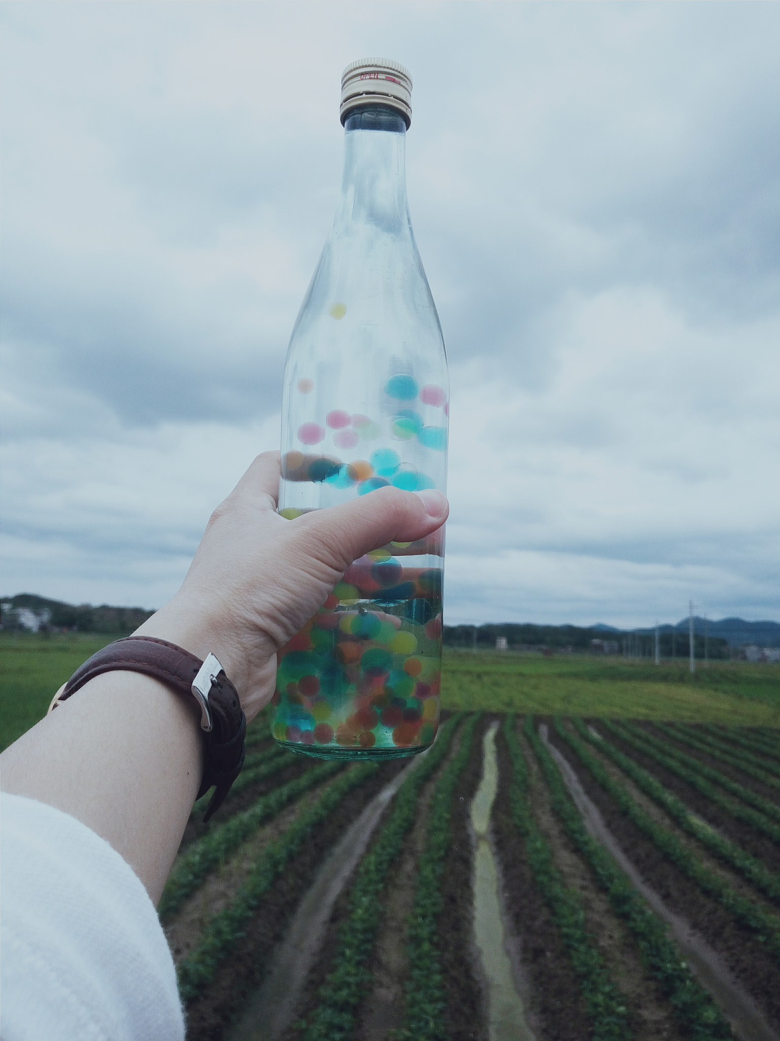 vivo X5S L sample photo. 一个酷酷的瓶子 photography