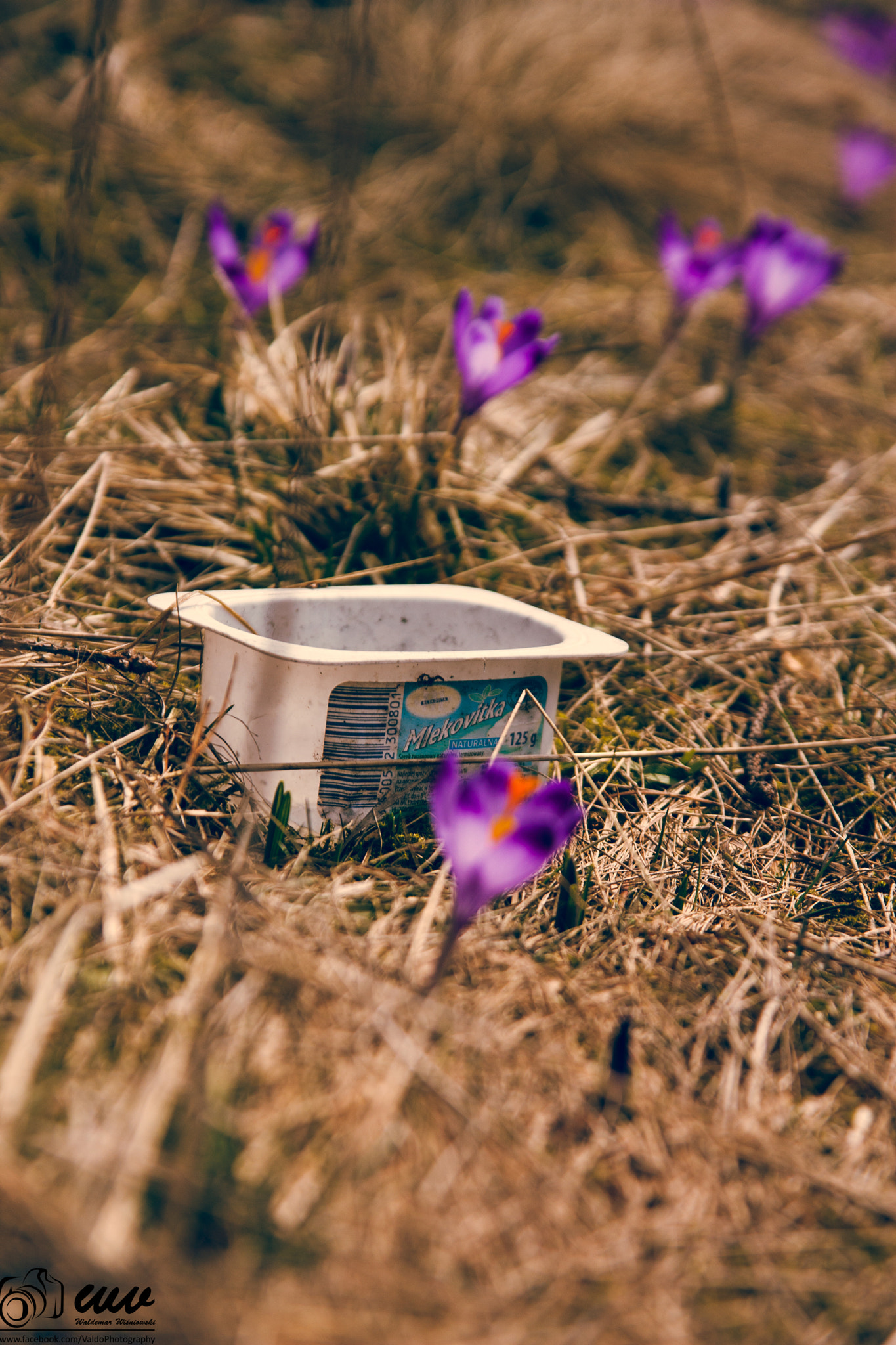 Sigma 17-70mm F2.8-4 DC Macro OS HSM sample photo. Trashcan in mountains photography