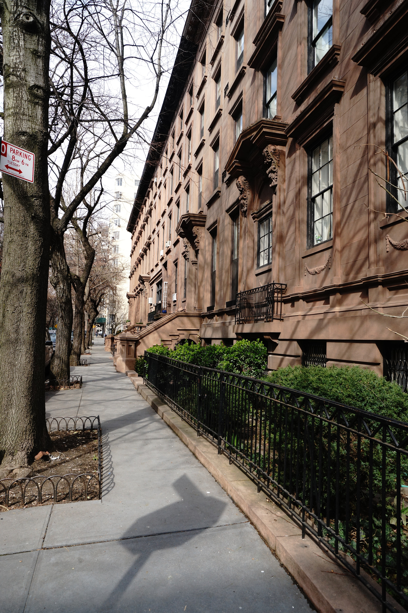 Sony SLT-A99V sample photo. Brooklyn photography