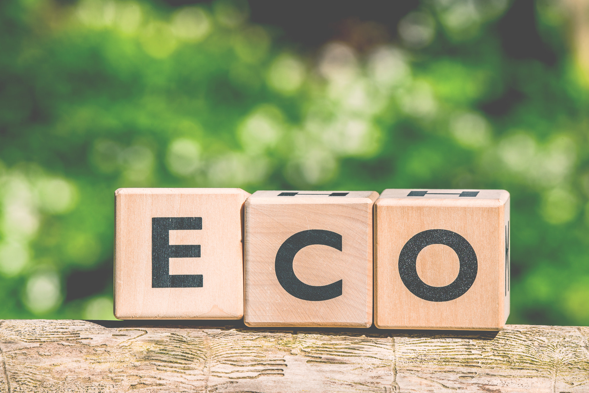 Sony a7R + Sony 70-400mm F4-5.6 G SSM II sample photo. Eco sign made of wooden cubes photography