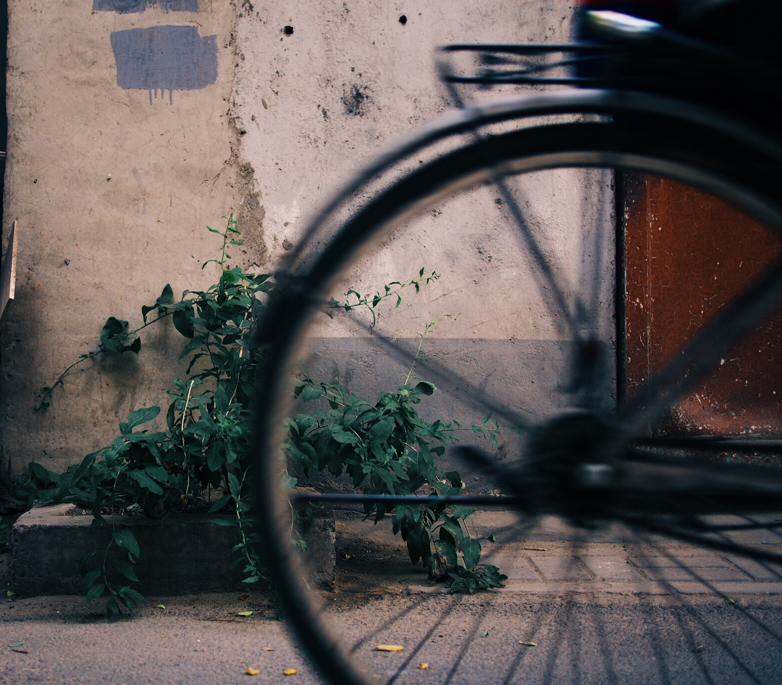 Olympus PEN E-P5 + Panasonic Lumix G 20mm F1.7 ASPH sample photo