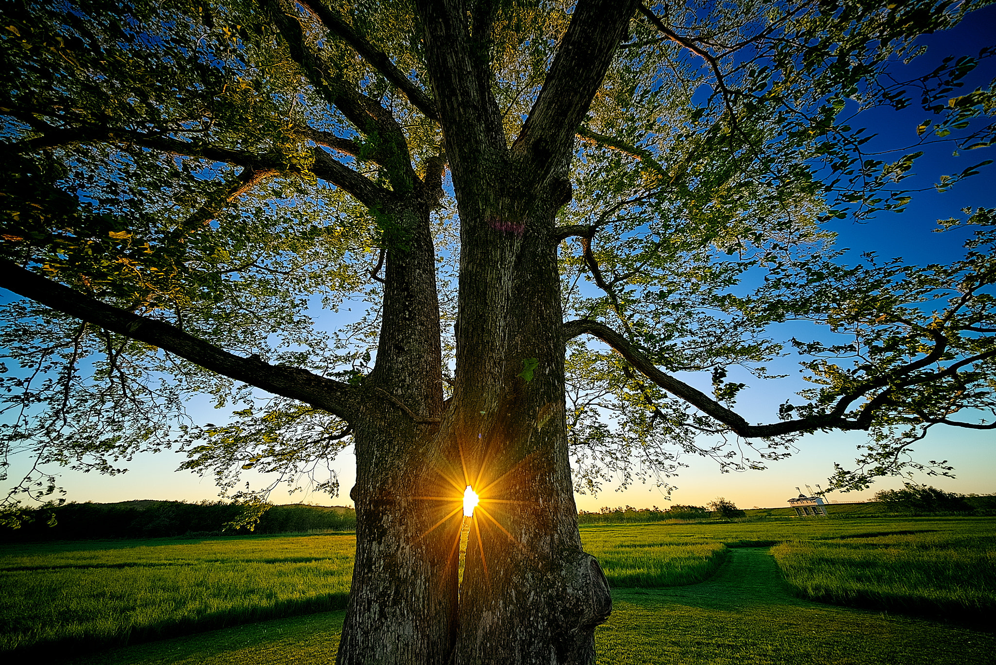 E 10mm F5.6 sample photo. Rays #1 photography