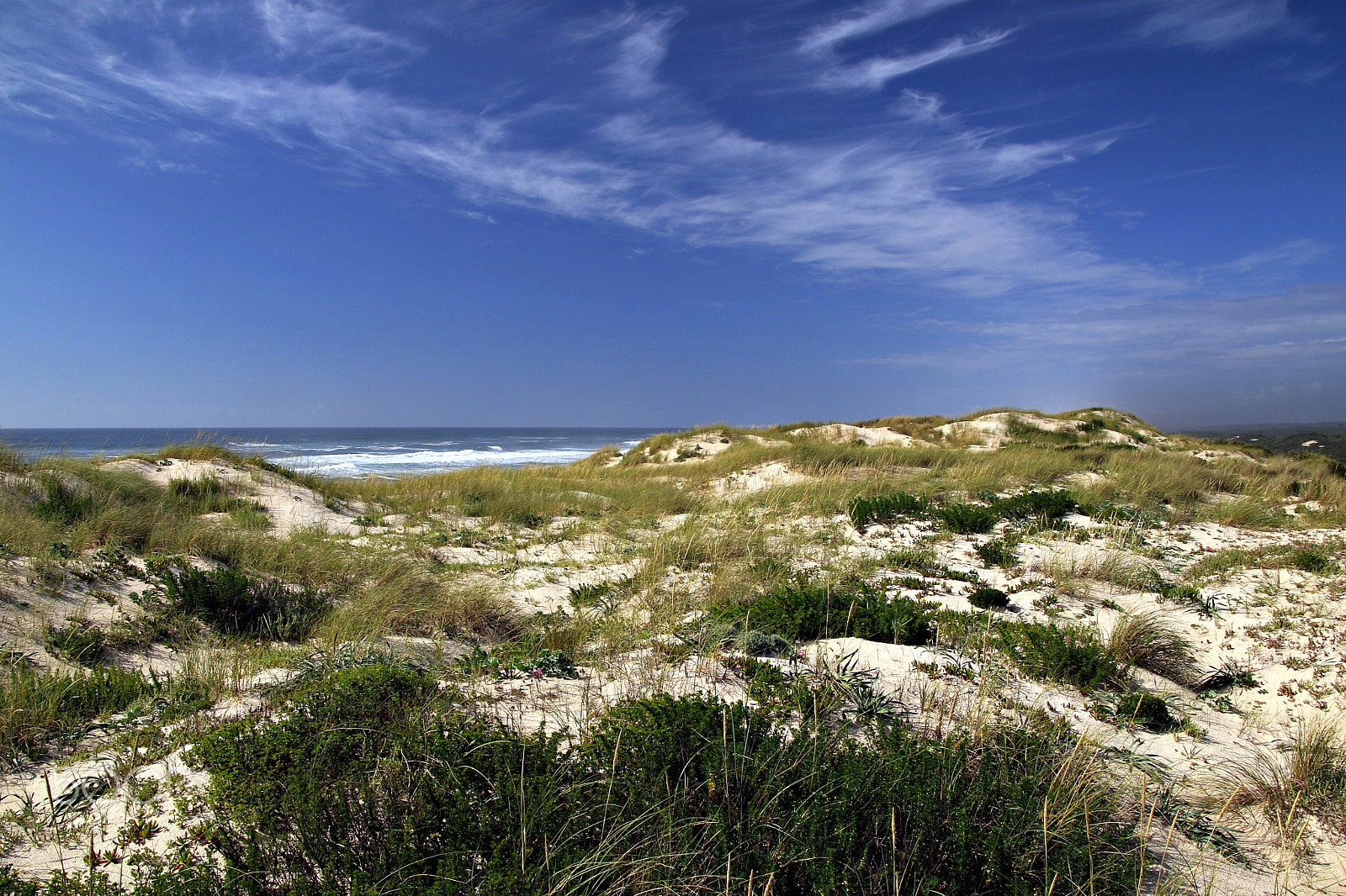 Canon TS-E 90mm F2.8 Tilt-Shift sample photo. Dunes photography