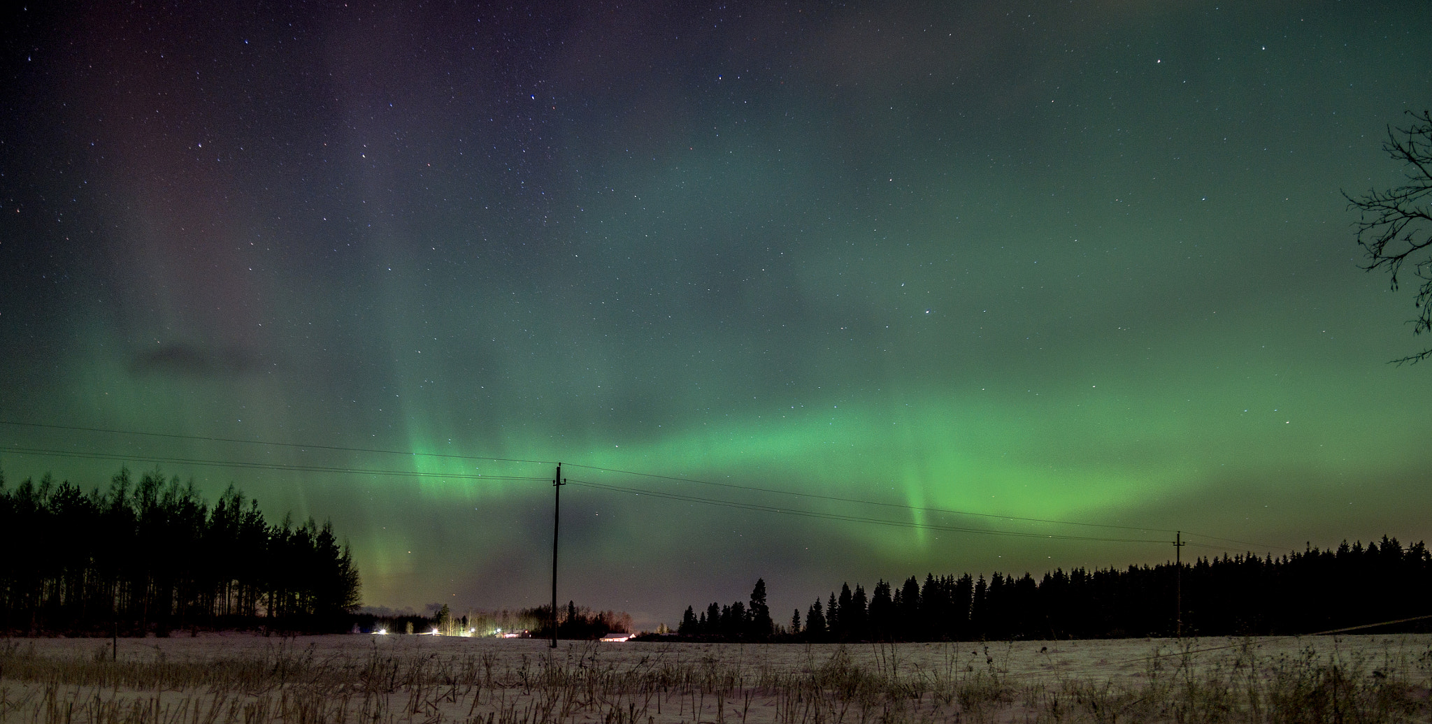 Pentax K-500 + Sigma sample photo. Last winter photography