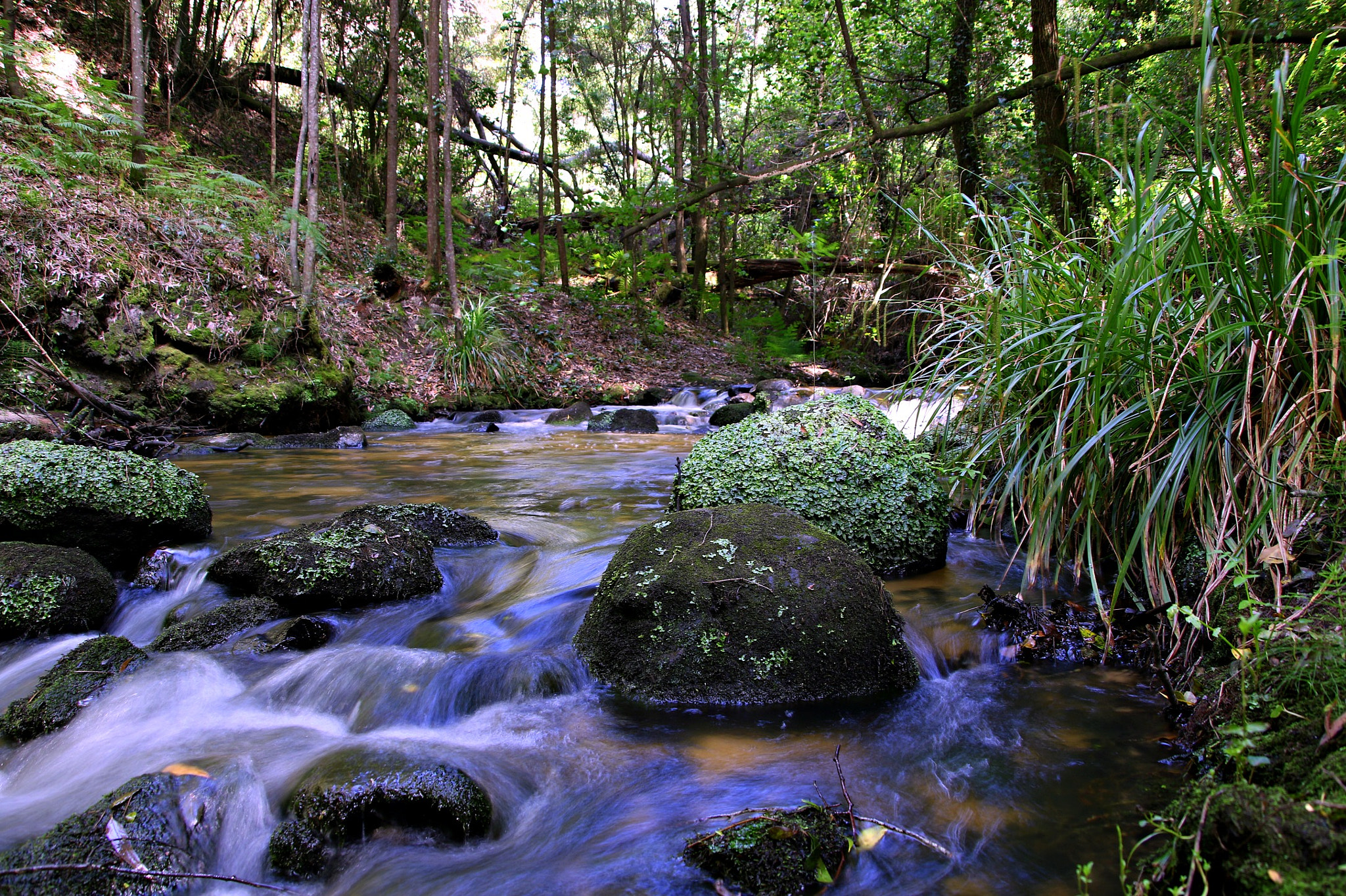 Canon TS-E 90mm F2.8 Tilt-Shift sample photo. Little river photography