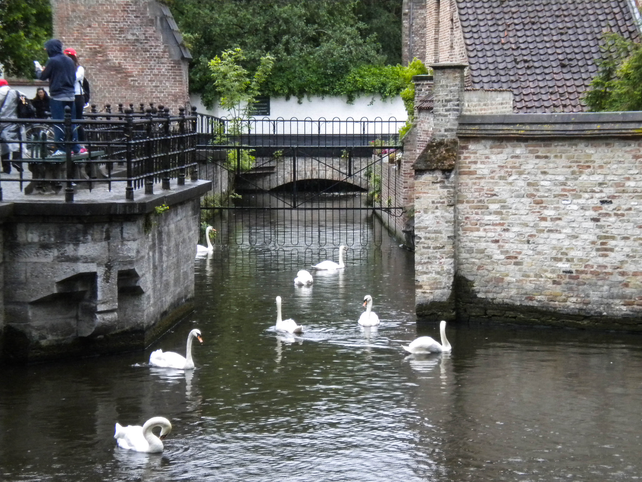 Nikon COOLPIX S225 sample photo. Minnewater lake (bruges) photography