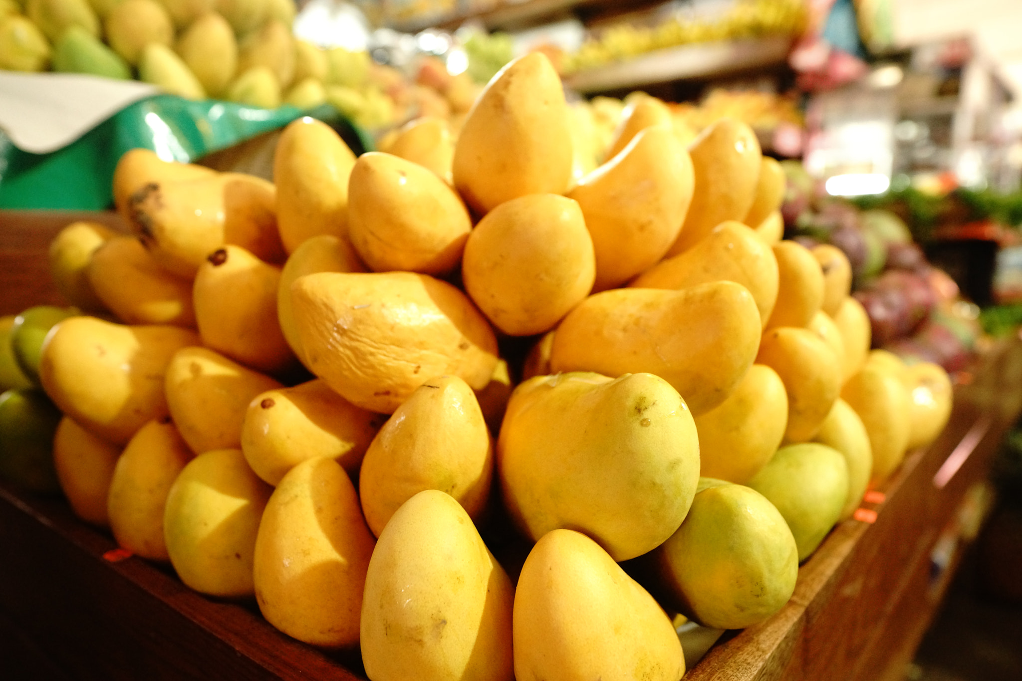 Sony SLT-A99V sample photo. Los mangos photography
