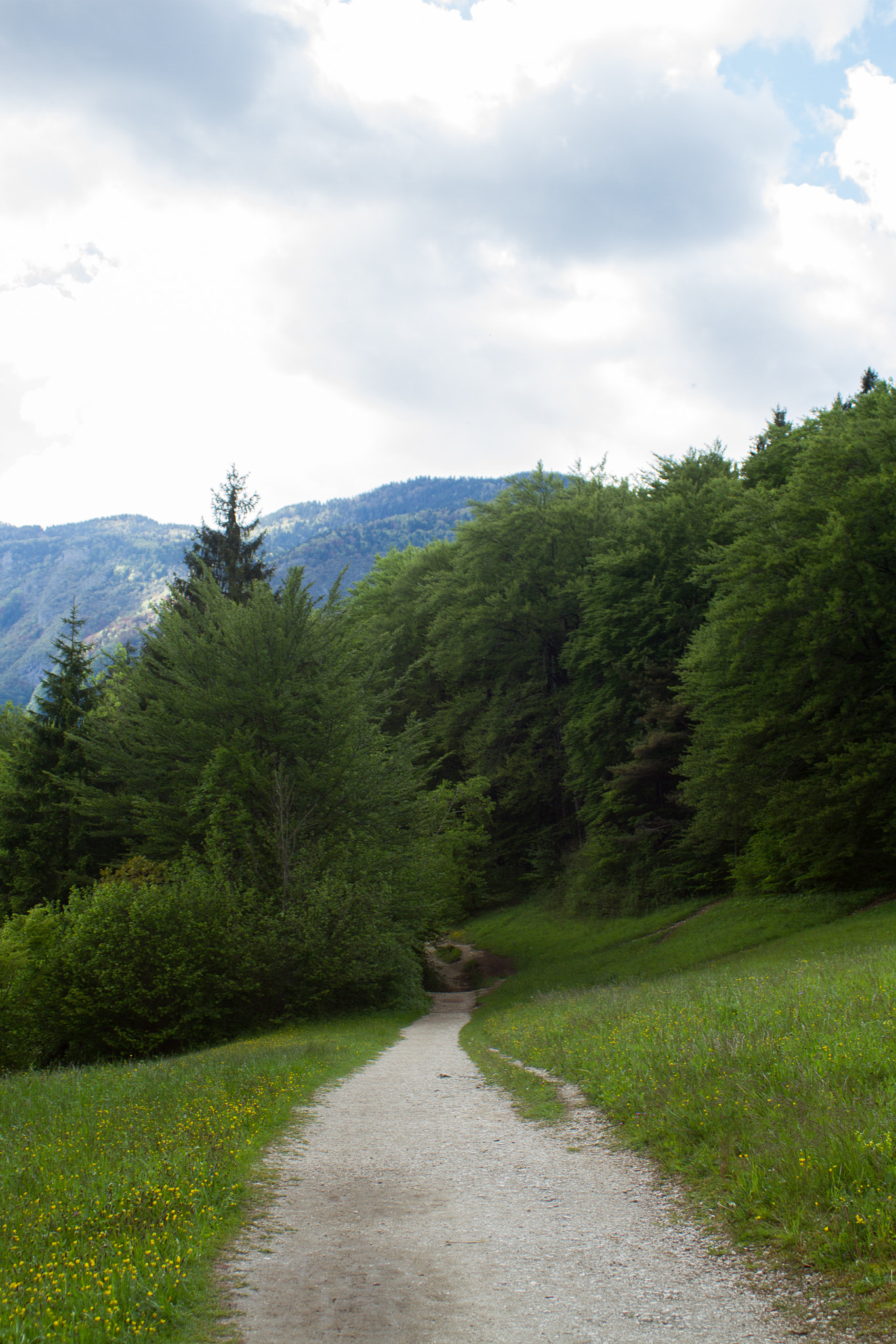 Canon EF 28-90mm f/4-5.6 sample photo