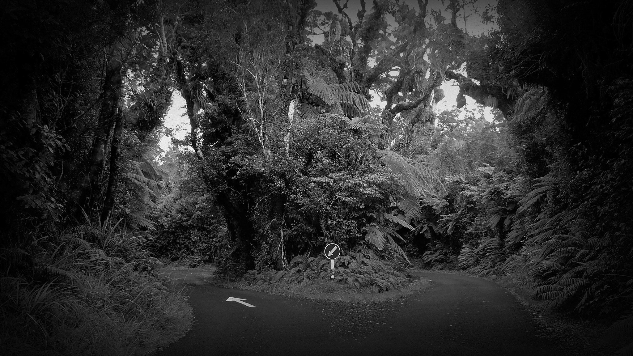 Samsung NV3,  VLUU NV3 sample photo. Give way to the forest photography