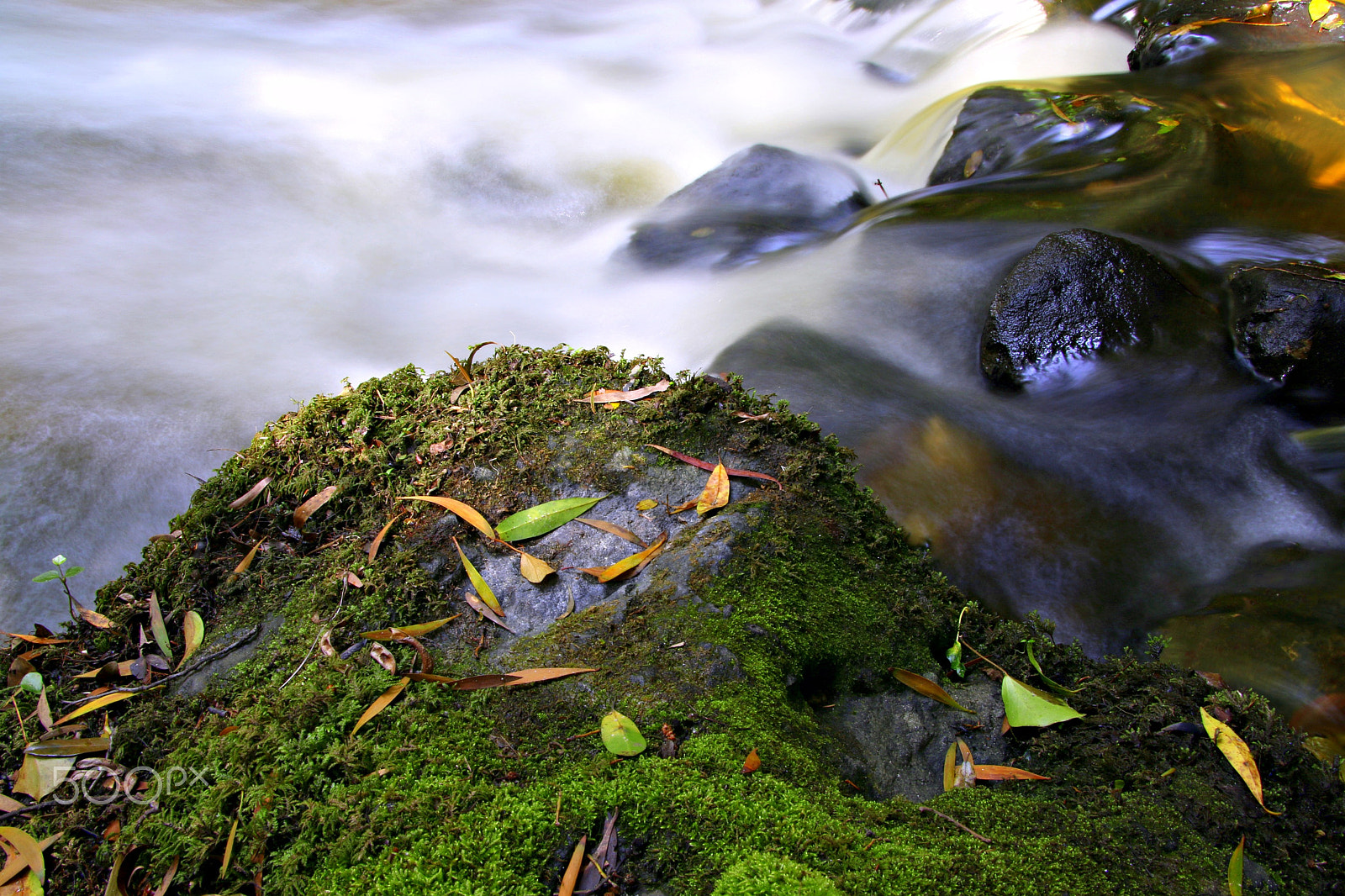 Canon TS-E 90mm F2.8 Tilt-Shift sample photo. Stone and water photography