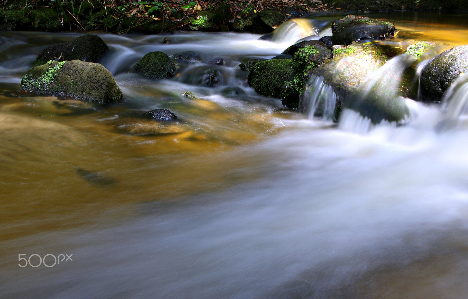 Canon TS-E 90mm F2.8 Tilt-Shift sample photo. Water photography