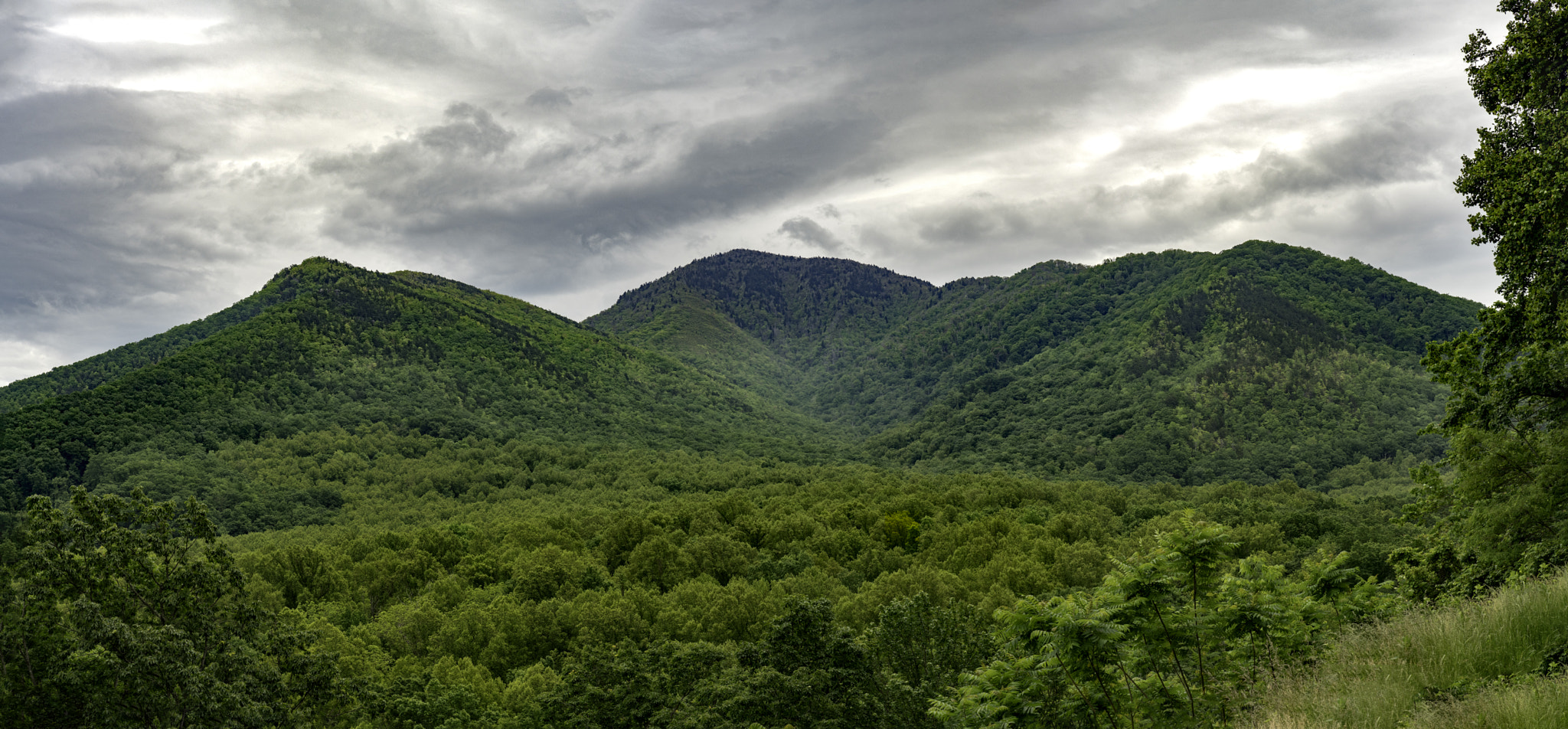Panasonic Lumix G X Vario 35-100mm F2.8 OIS sample photo. Great smokey mountains photography