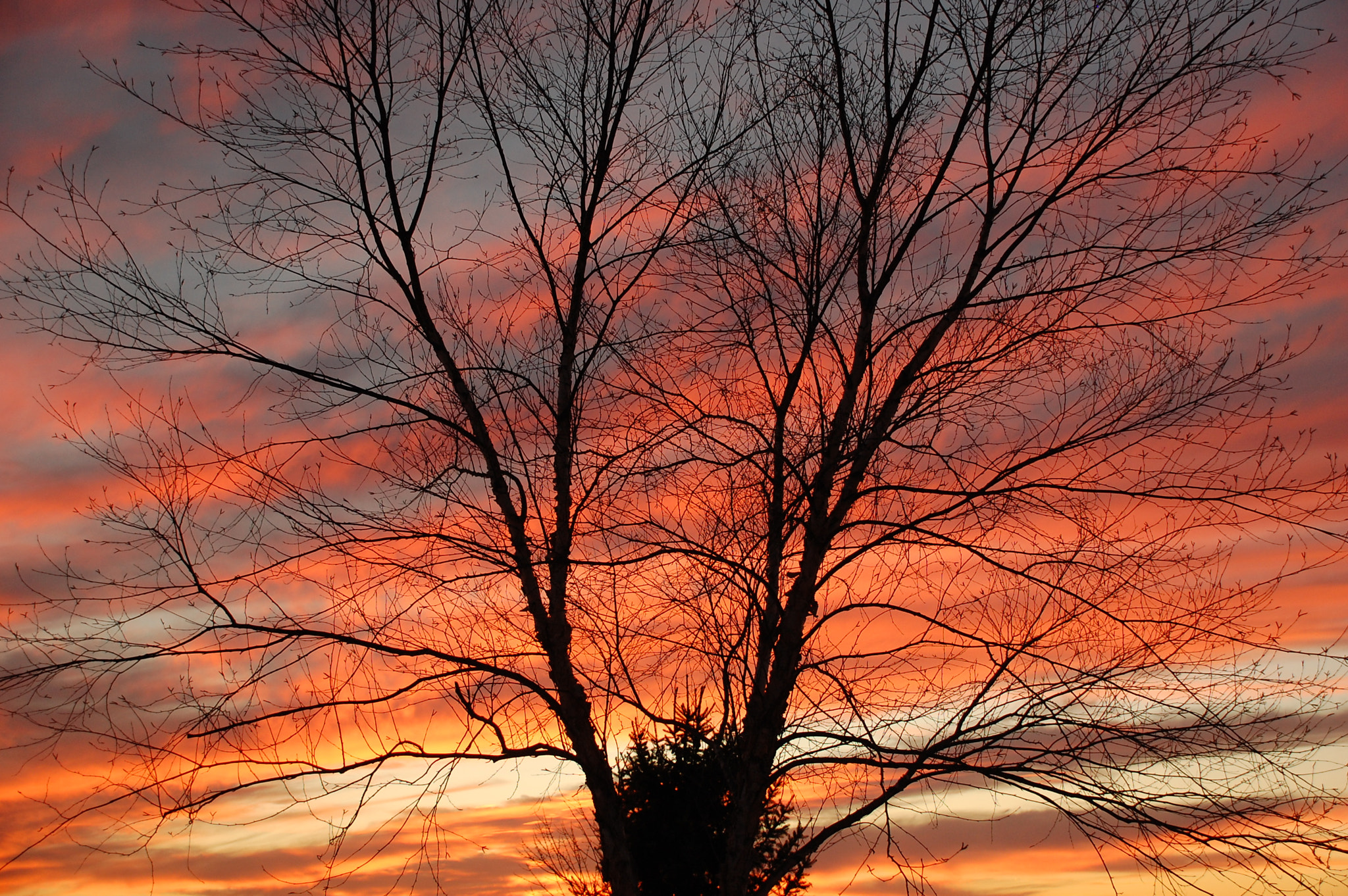 Nikon D40 sample photo. Sunset photography