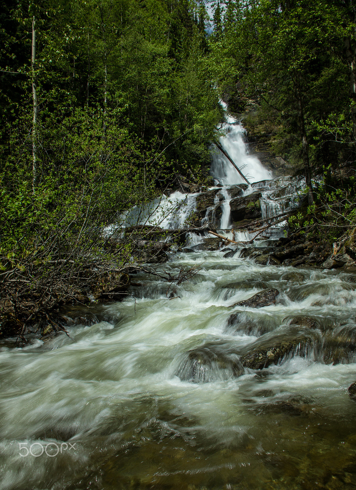 DT 18-300mm F3.5-6.3 sample photo. Freshet photography
