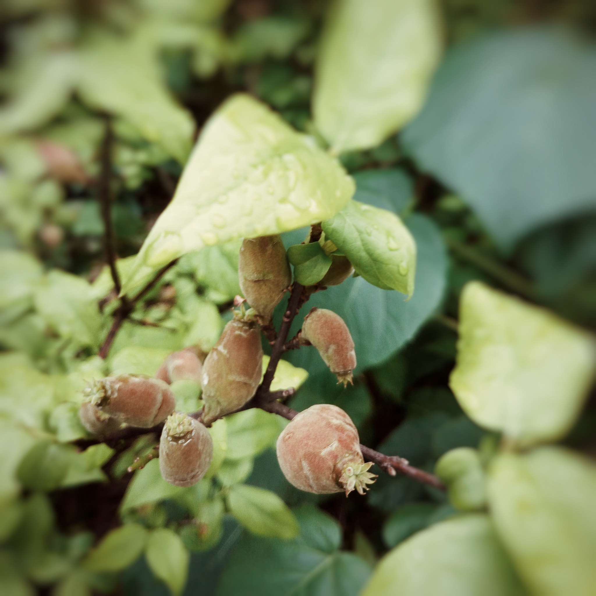 vivo X5S L sample photo. 静 photography