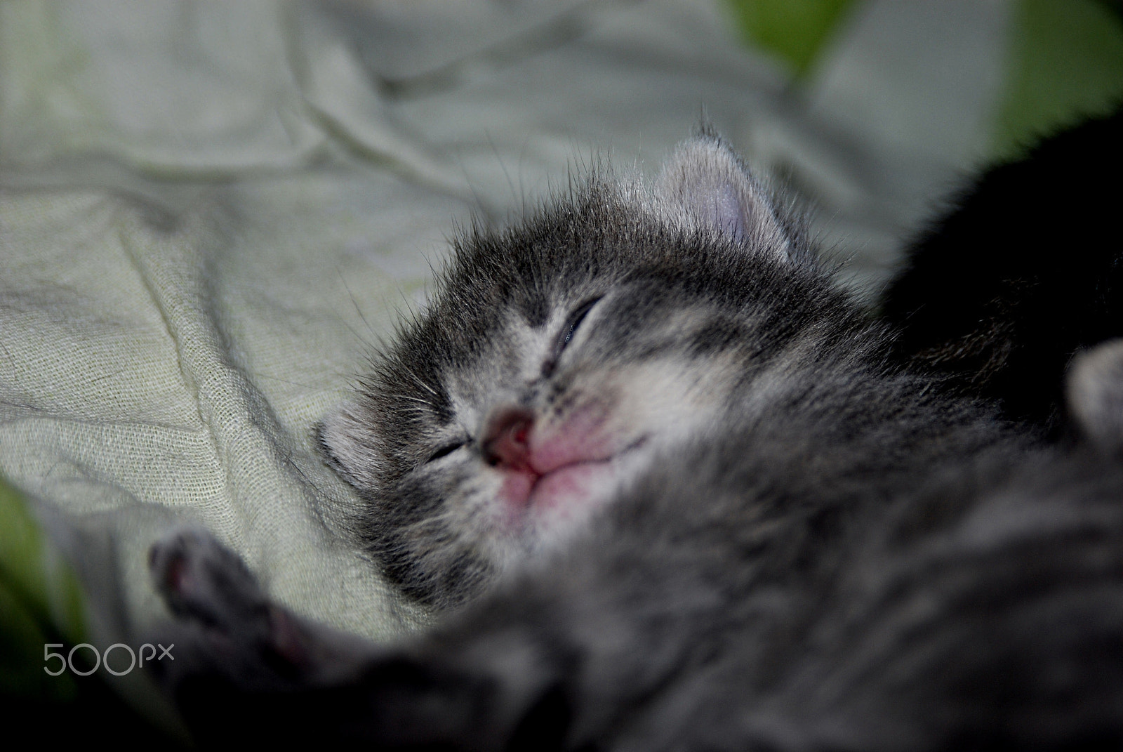 AF Zoom-Nikkor 28-105mm f/3.5-4.5D IF sample photo. Just do it photography