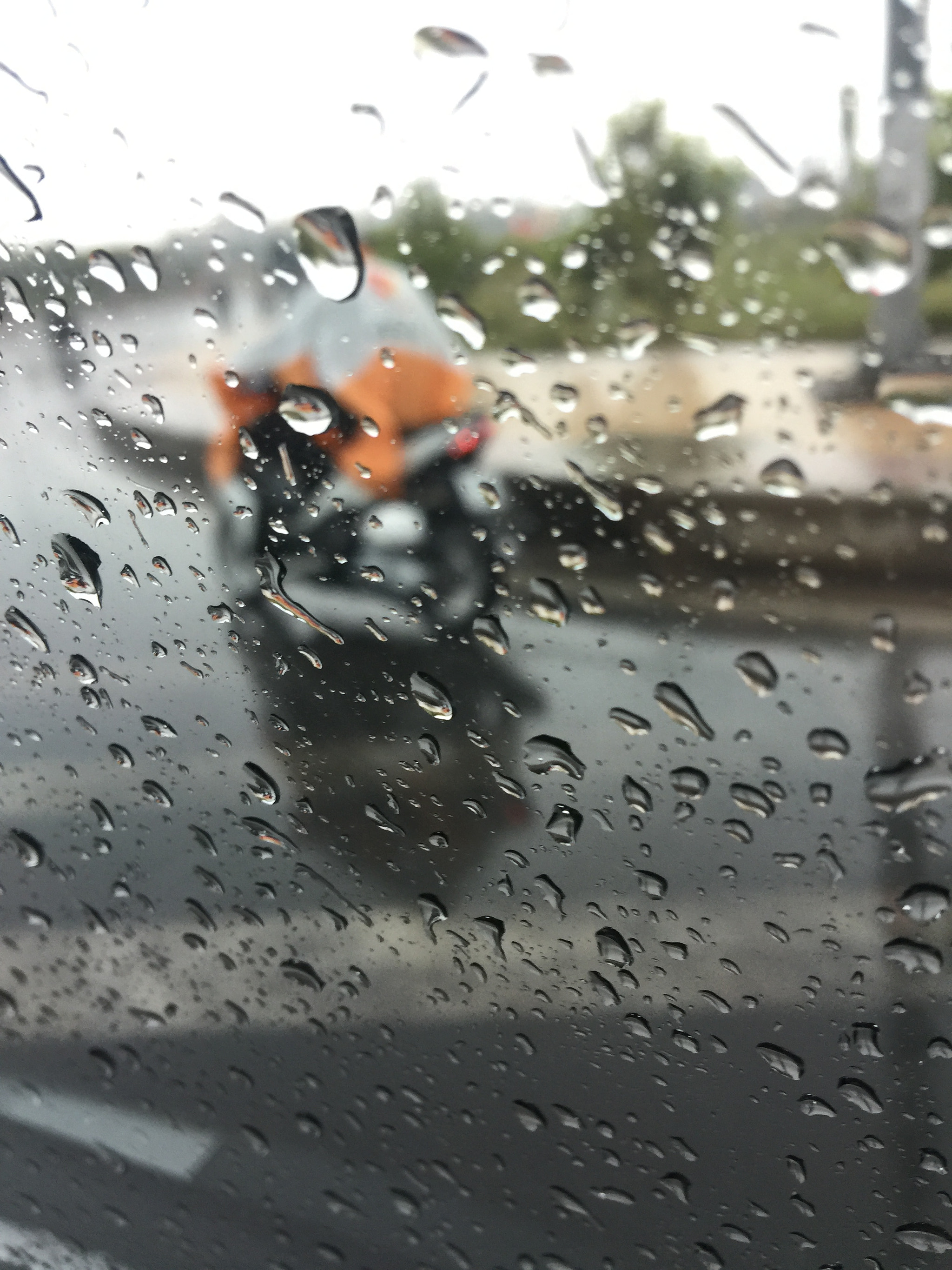 Apple iPhone7,1 sample photo. Rainyday! photography
