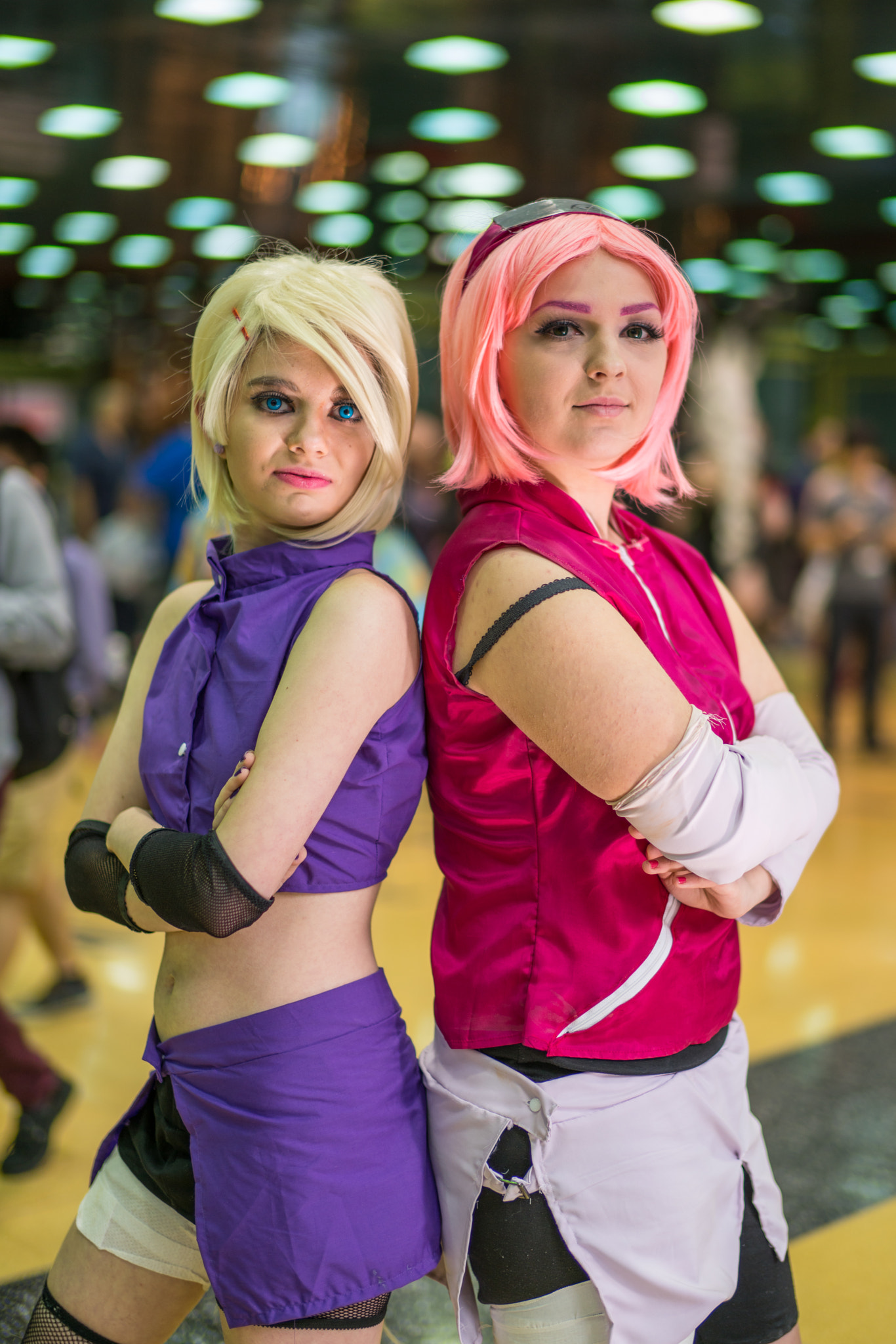 Sony Planar T* 50mm F1.4 ZA SSM sample photo. Ino and sakura photography