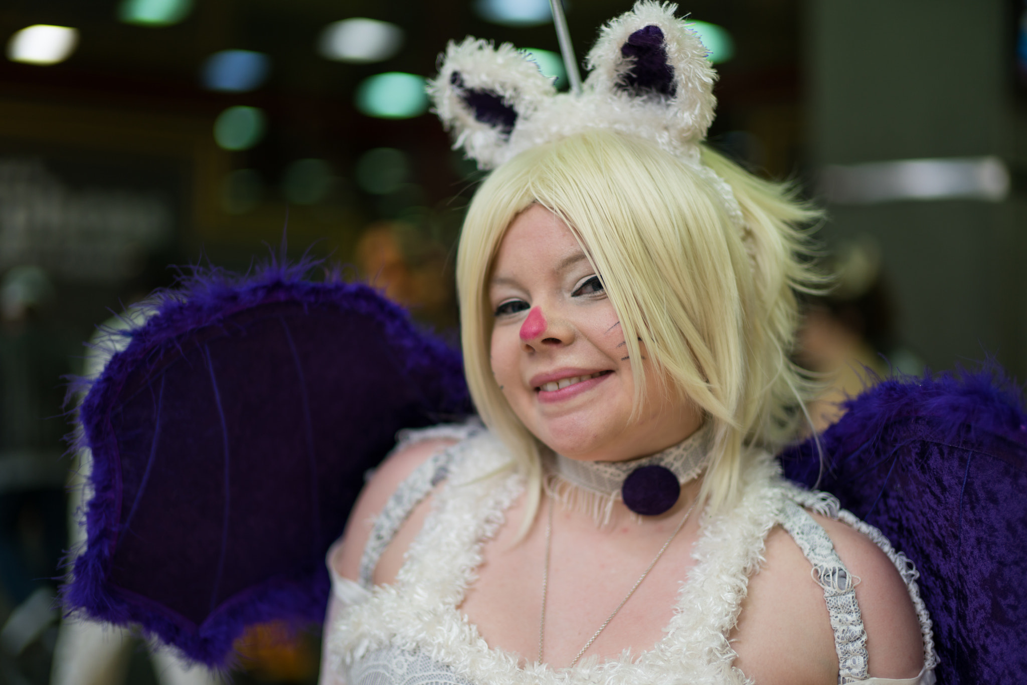 Sony Planar T* 50mm F1.4 ZA SSM sample photo. Moogle photography