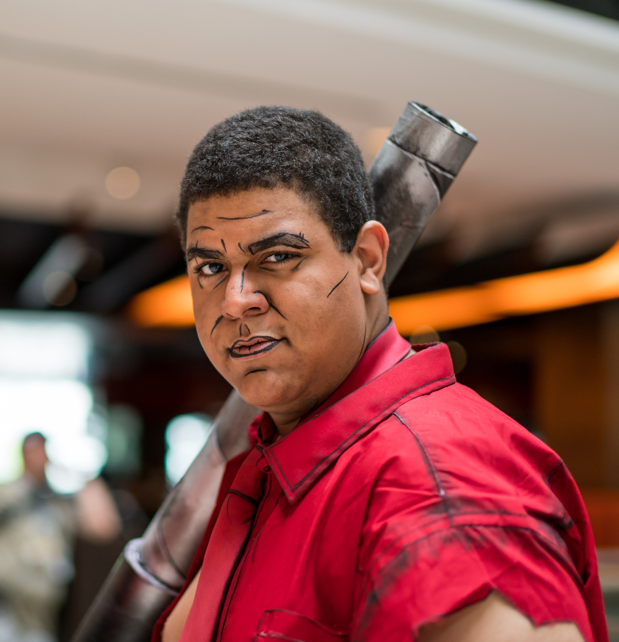Sony Planar T* 50mm F1.4 ZA SSM sample photo. Donkey kong photography