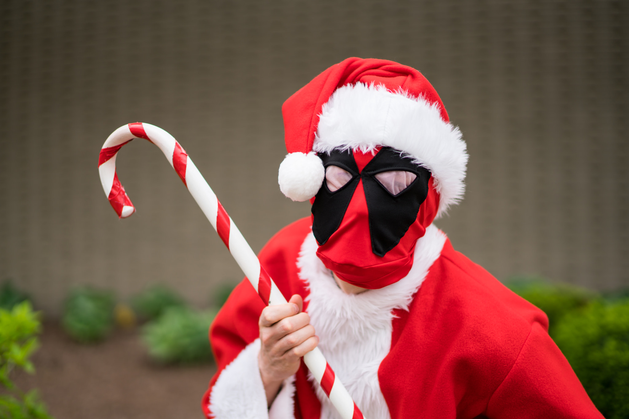 Sony Planar T* 50mm F1.4 ZA SSM sample photo. Saint deadpool photography