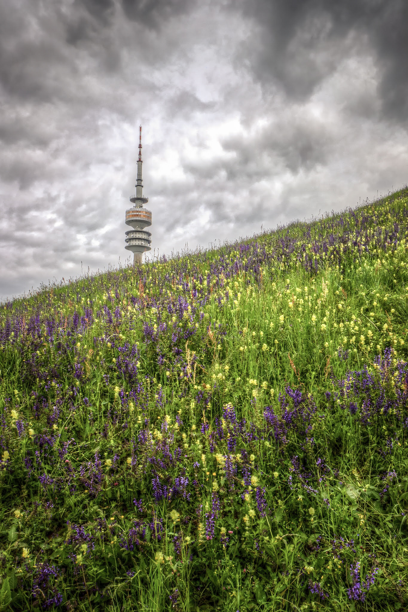 Sony Alpha NEX-7 + Sony E 10-18mm F4 OSS sample photo. Olympic spring photography