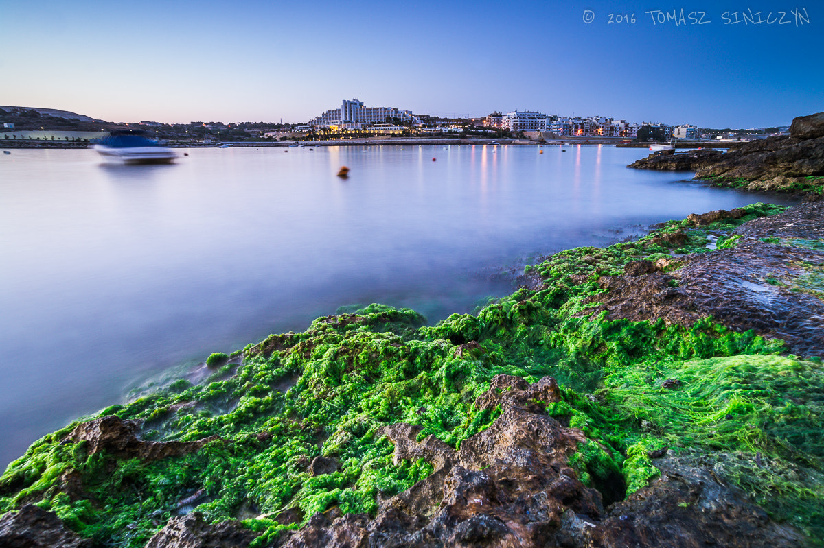 Samsung NX11 + Samsung NX 12-24mm F4-5.6 ED sample photo. Green morning photography