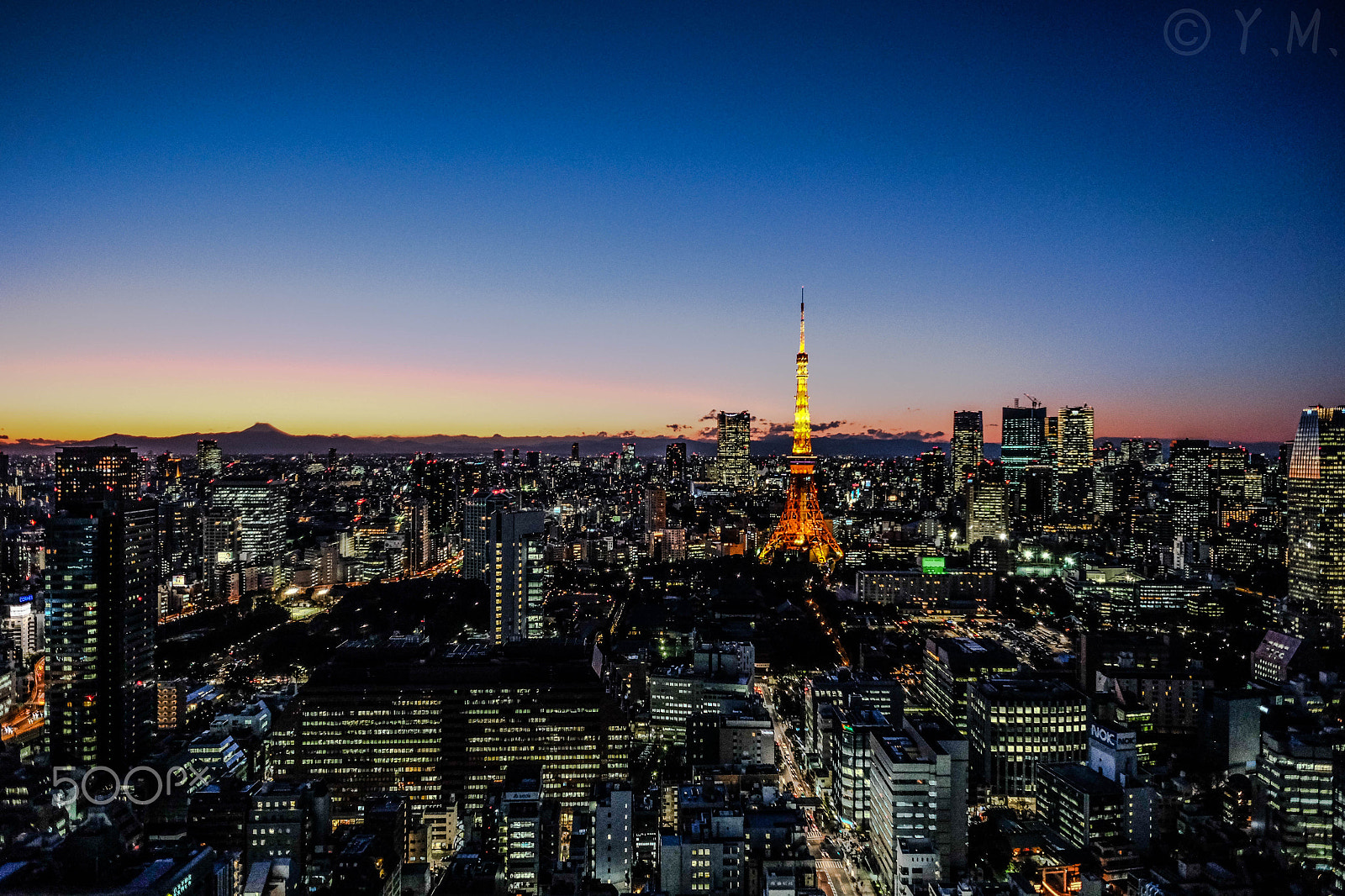 Fujifilm X-M1 + Fujifilm XF 14mm F2.8 R sample photo. Tokyo tower photography