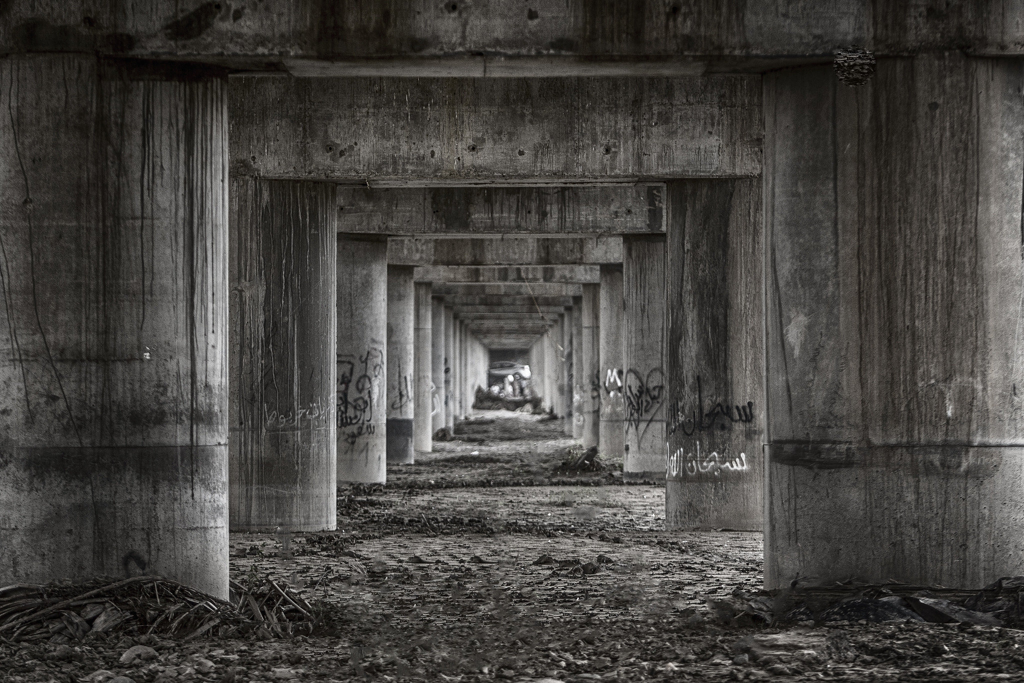 Canon EOS 50D + Canon EF 70-200mm F2.8L USM sample photo. Under bridge b&w photography