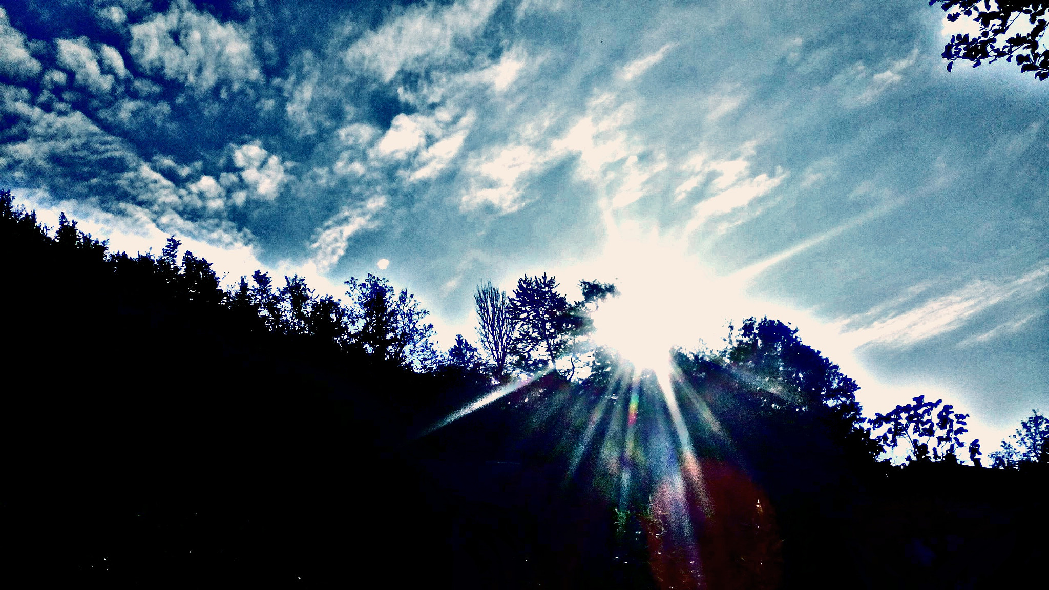 TCT ALCATEL ONE TOUCH 7041X sample photo. Jutarnje sunce.. photography