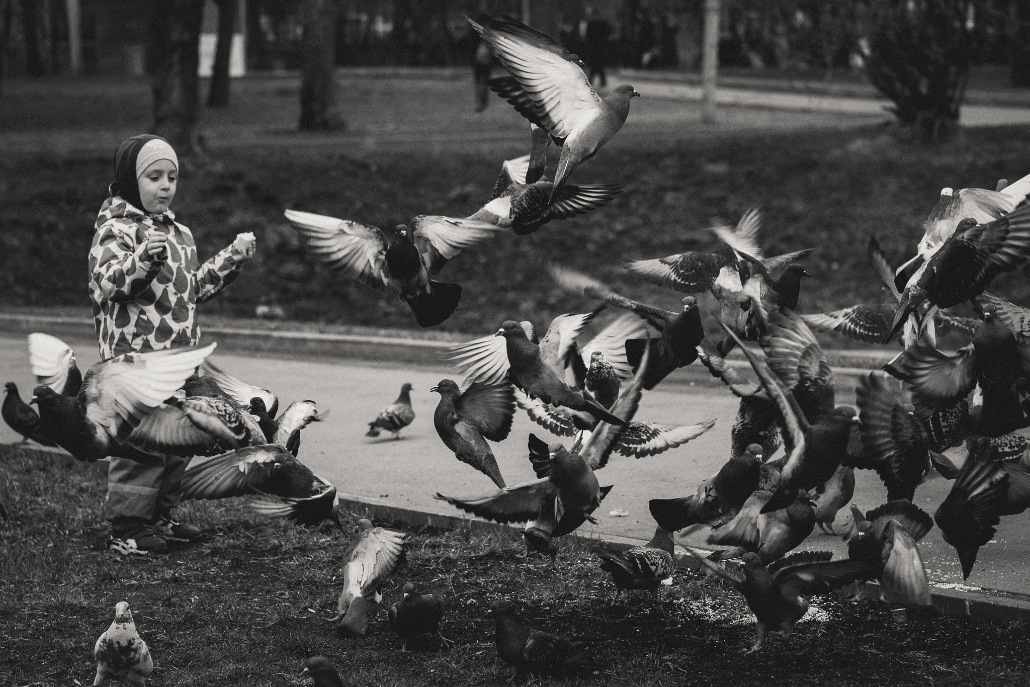 Olympus PEN E-PL6 + Sigma 60mm F2.8 DN Art sample photo. Look at the birds of the air ... photography