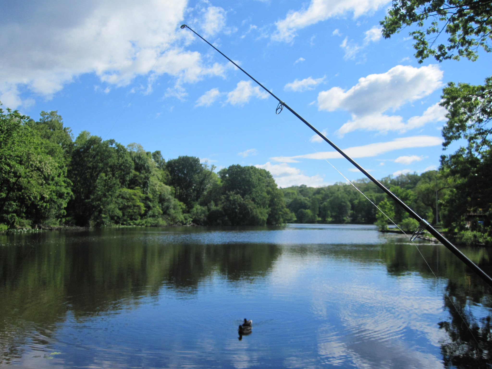 Canon PowerShot SD780 IS (Digital IXUS 100 IS / IXY Digital 210 IS) sample photo. Lake fishing photography