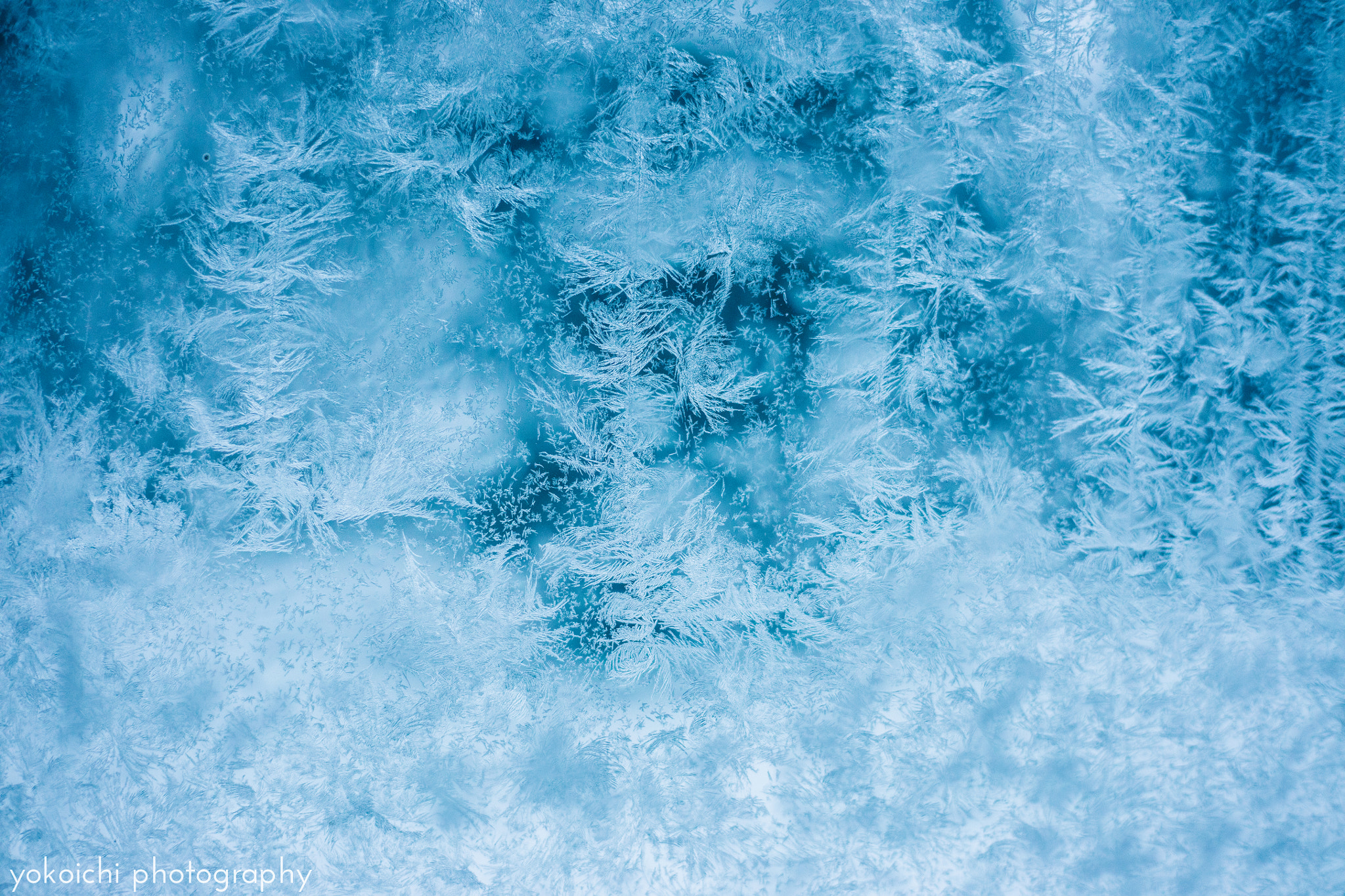 Canon EOS 5DS + Canon EF 50mm F1.8 STM sample photo. Icy crystal photography